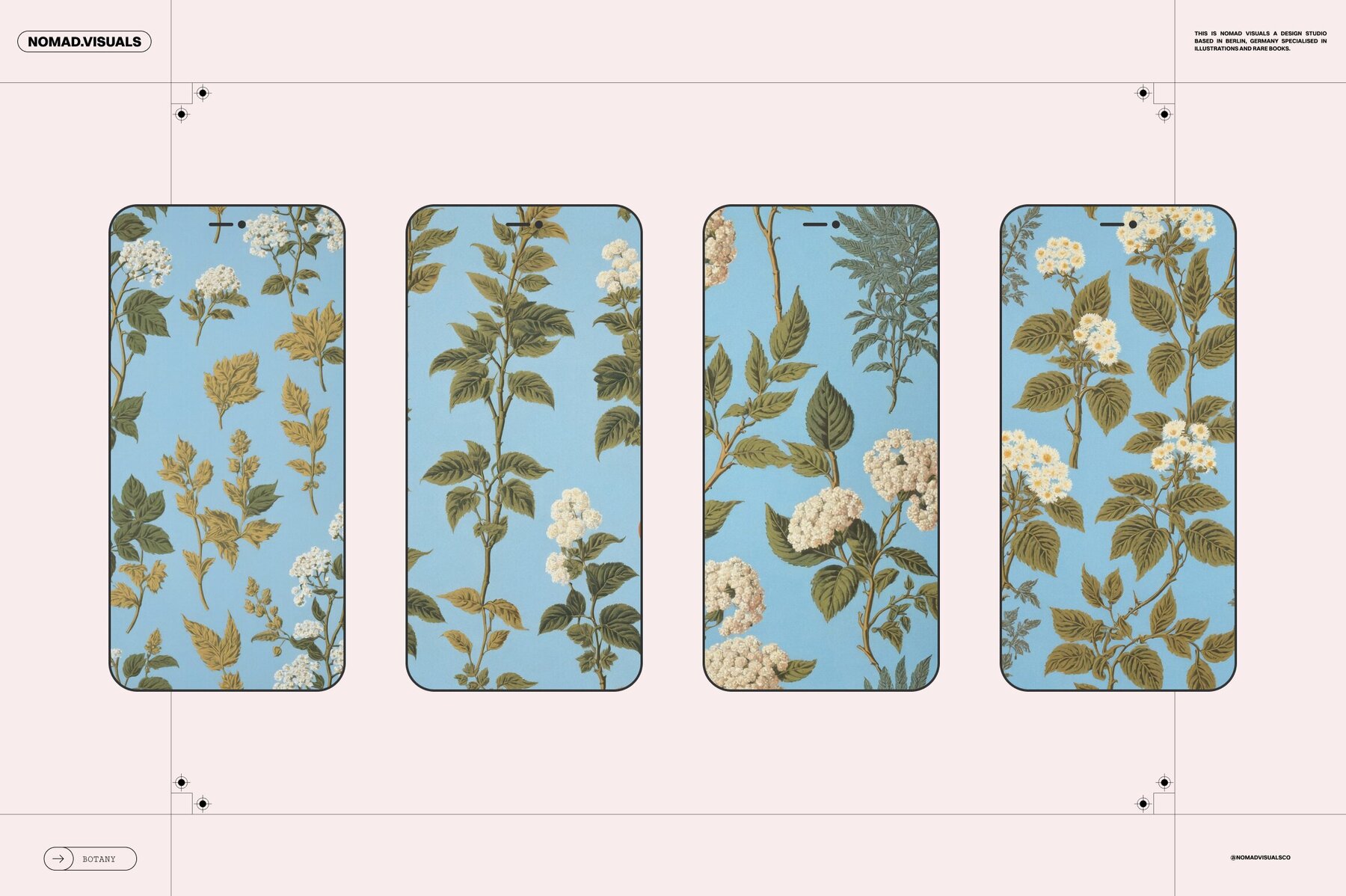 Plants   Flowers Collection 6