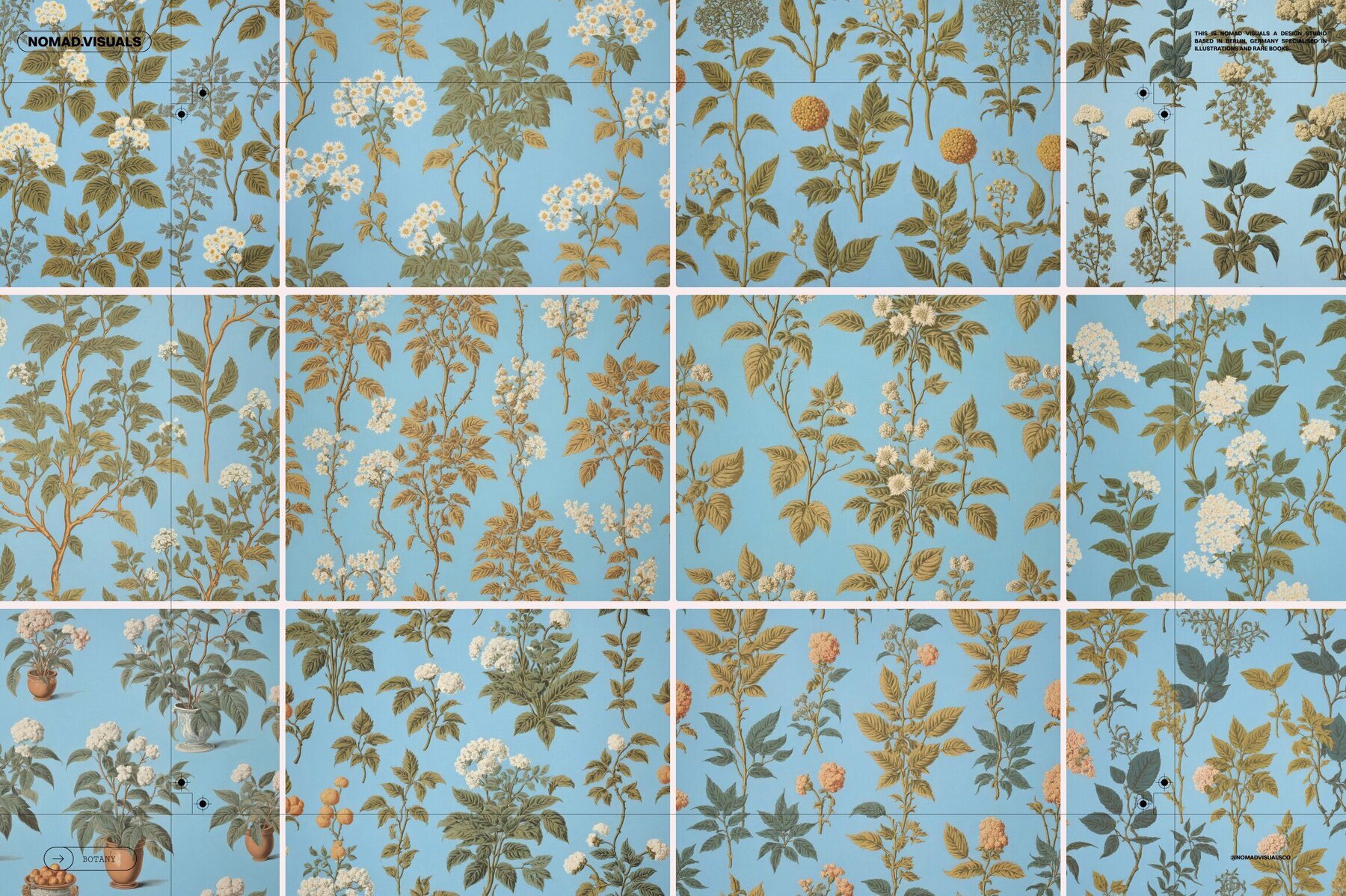 Plants   Flowers Collection 7