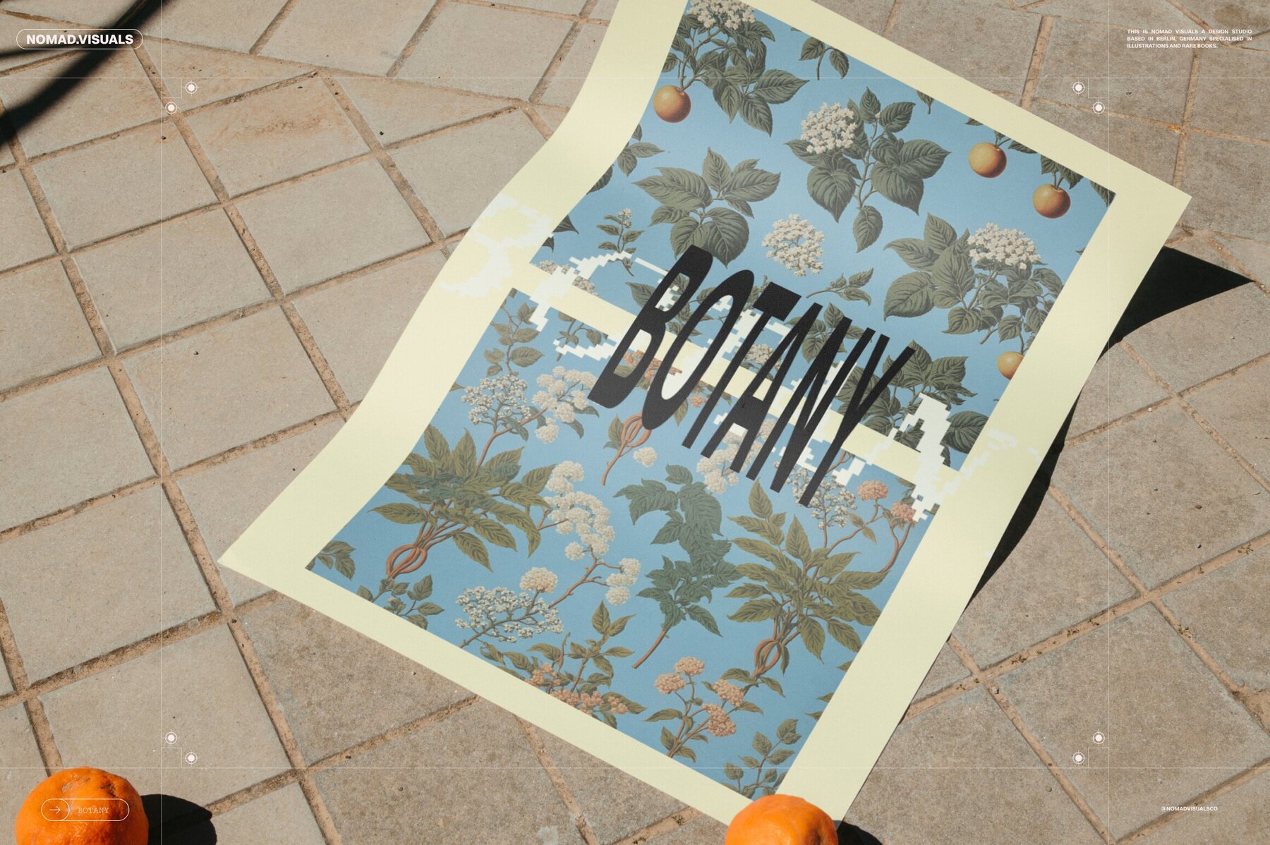 Plants   Flowers Collection 10