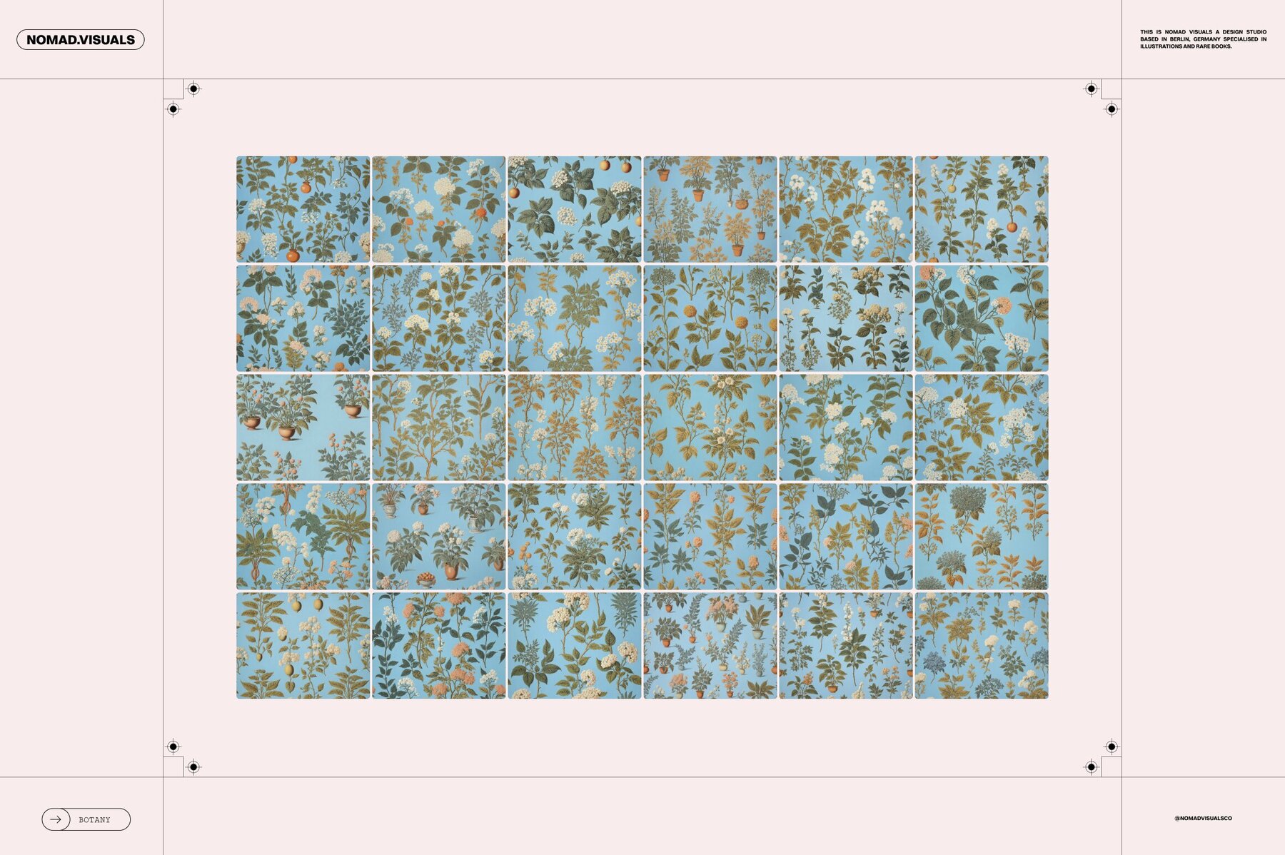 Plants   Flowers Collection 11