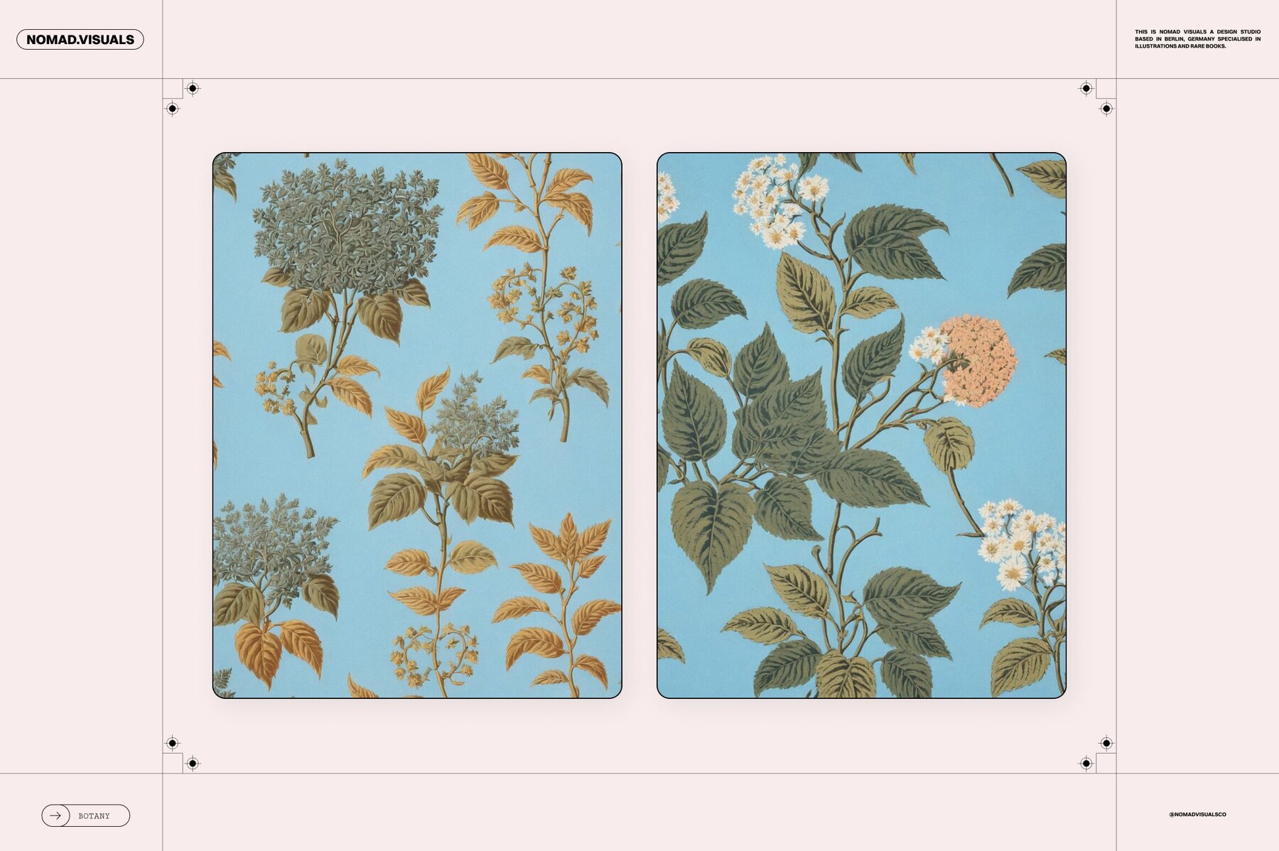 Plants   Flowers Collection 13