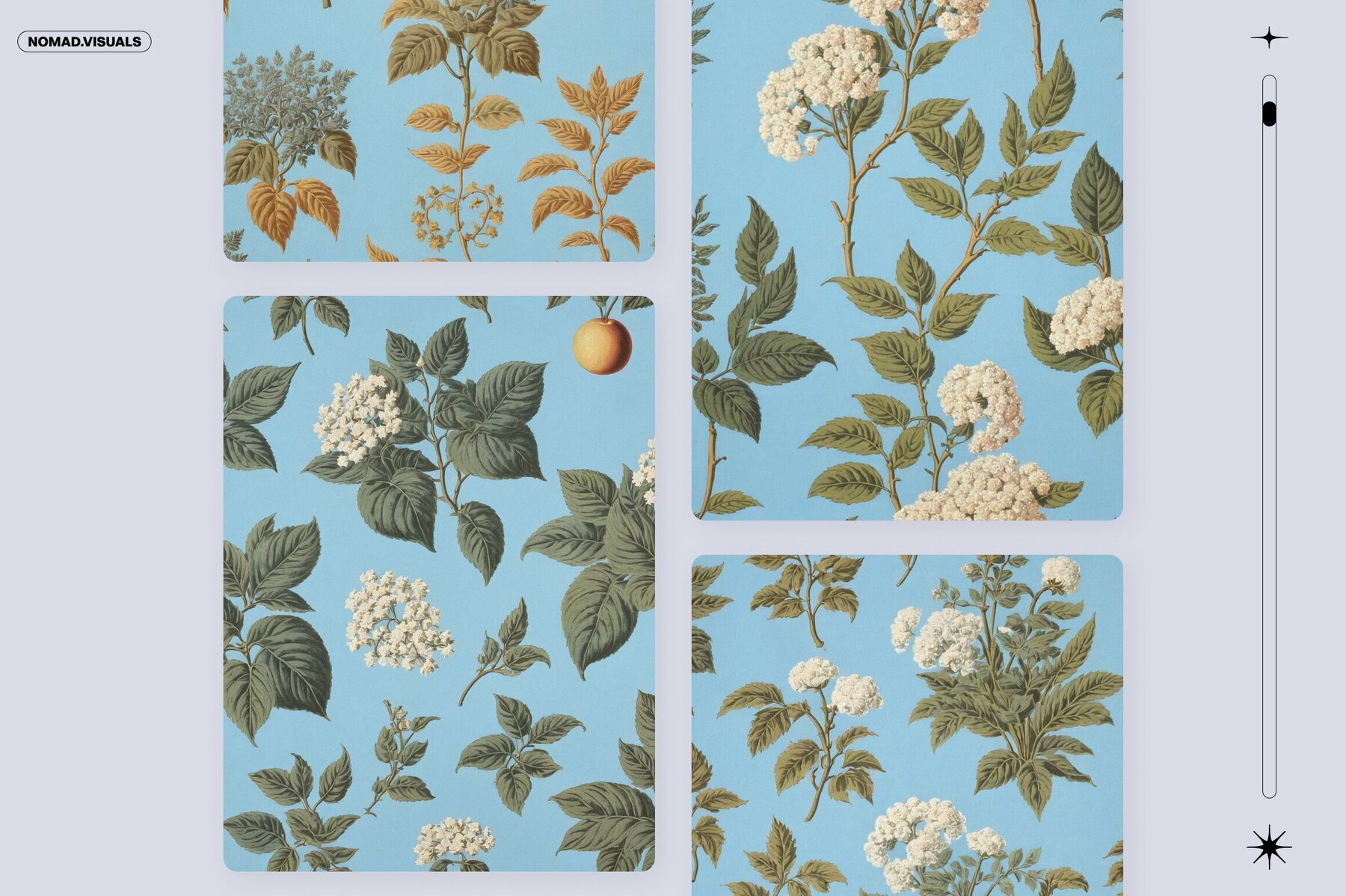 Plants   Flowers Collection 14