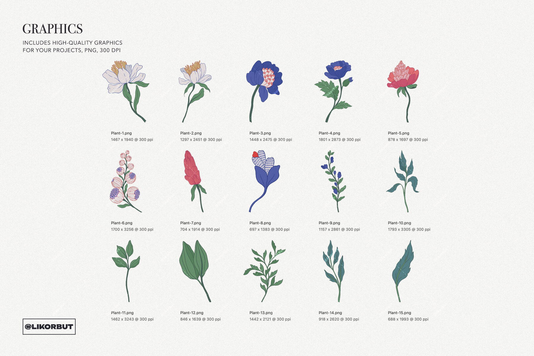 Blue Botanical Pattern and Graphics 9