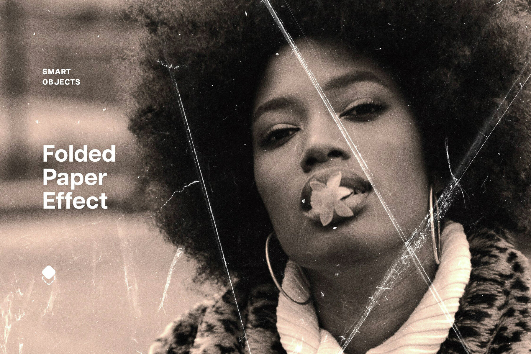 50 in 1 Vintage Effects Bundle 6