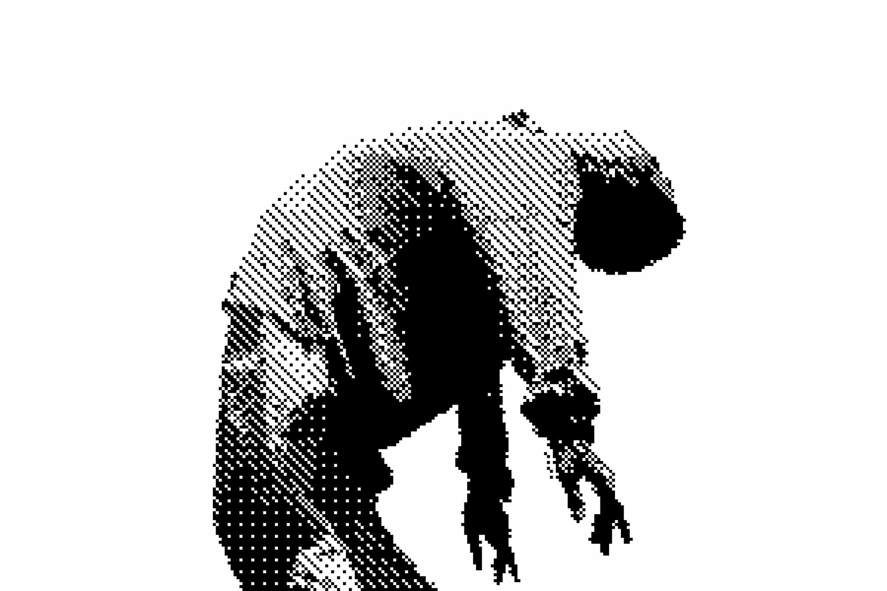 Dithering Bitmap Photo Effect 2