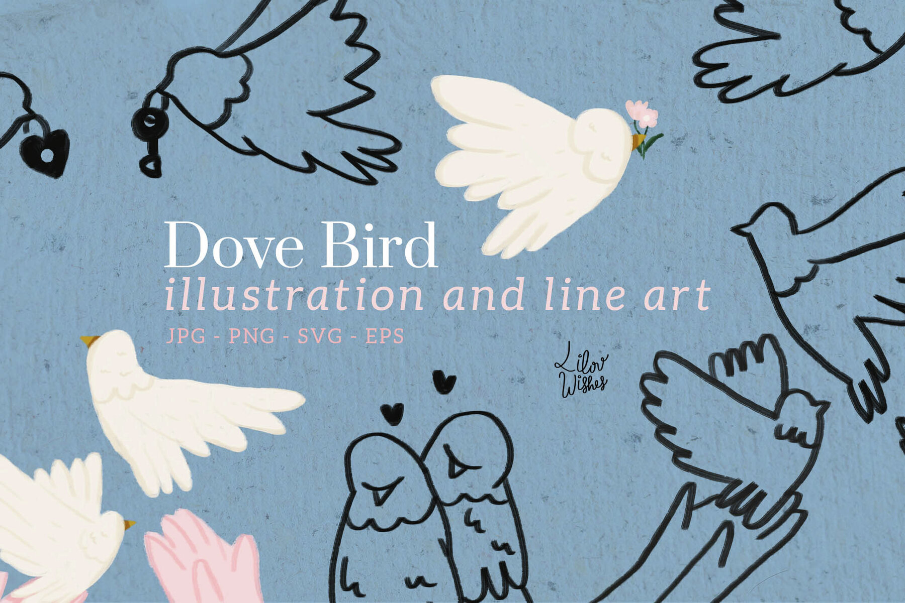 Dove Bird Illustration and Line Art 1