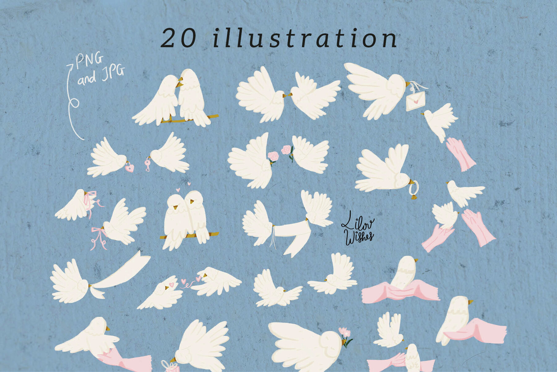 Dove Bird Illustration and Line Art 2