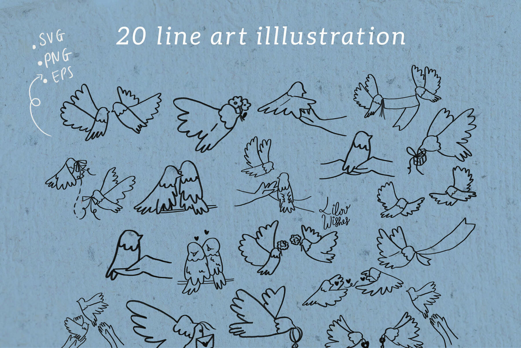 Dove Bird Illustration and Line Art 3