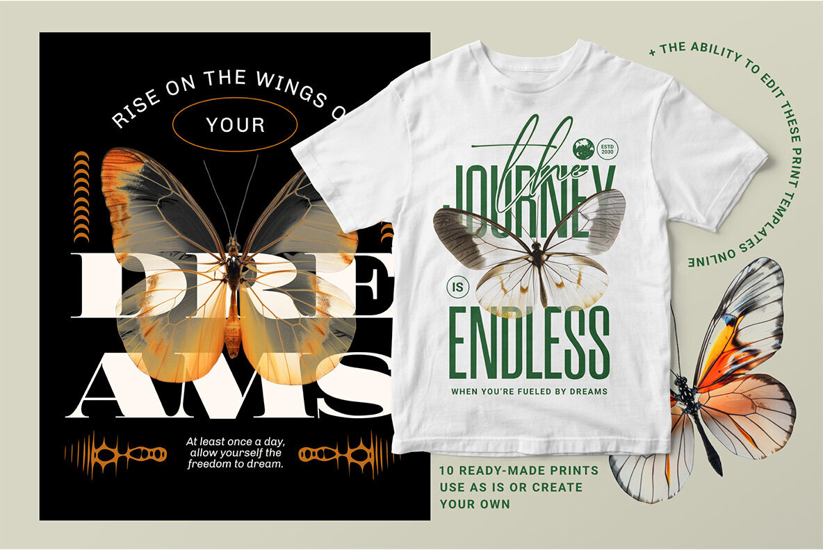 Transparent Wings Contemporary Art 3