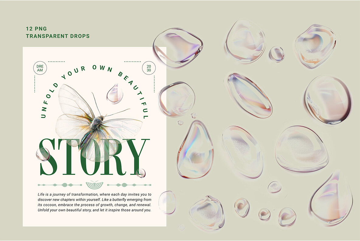 Transparent Wings Contemporary Art 6