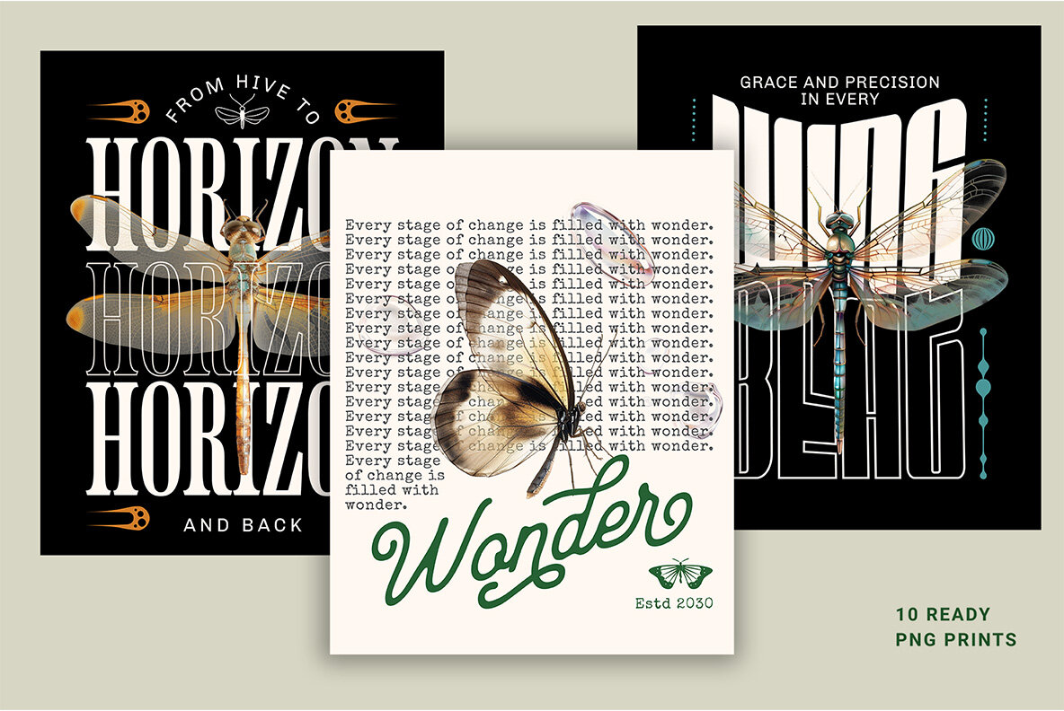 Transparent Wings Contemporary Art 7