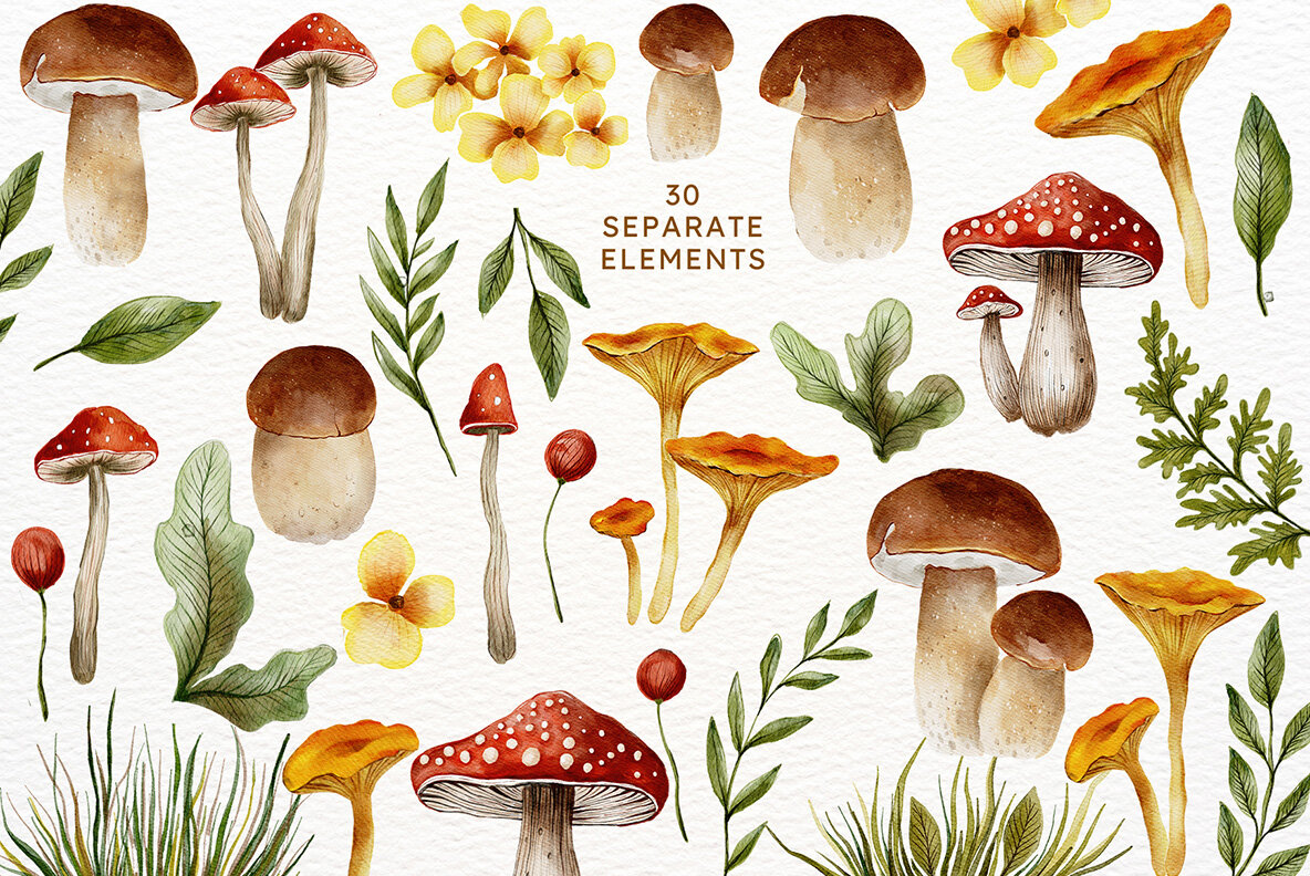 Mushroom Watercolor Fall Graphics 4