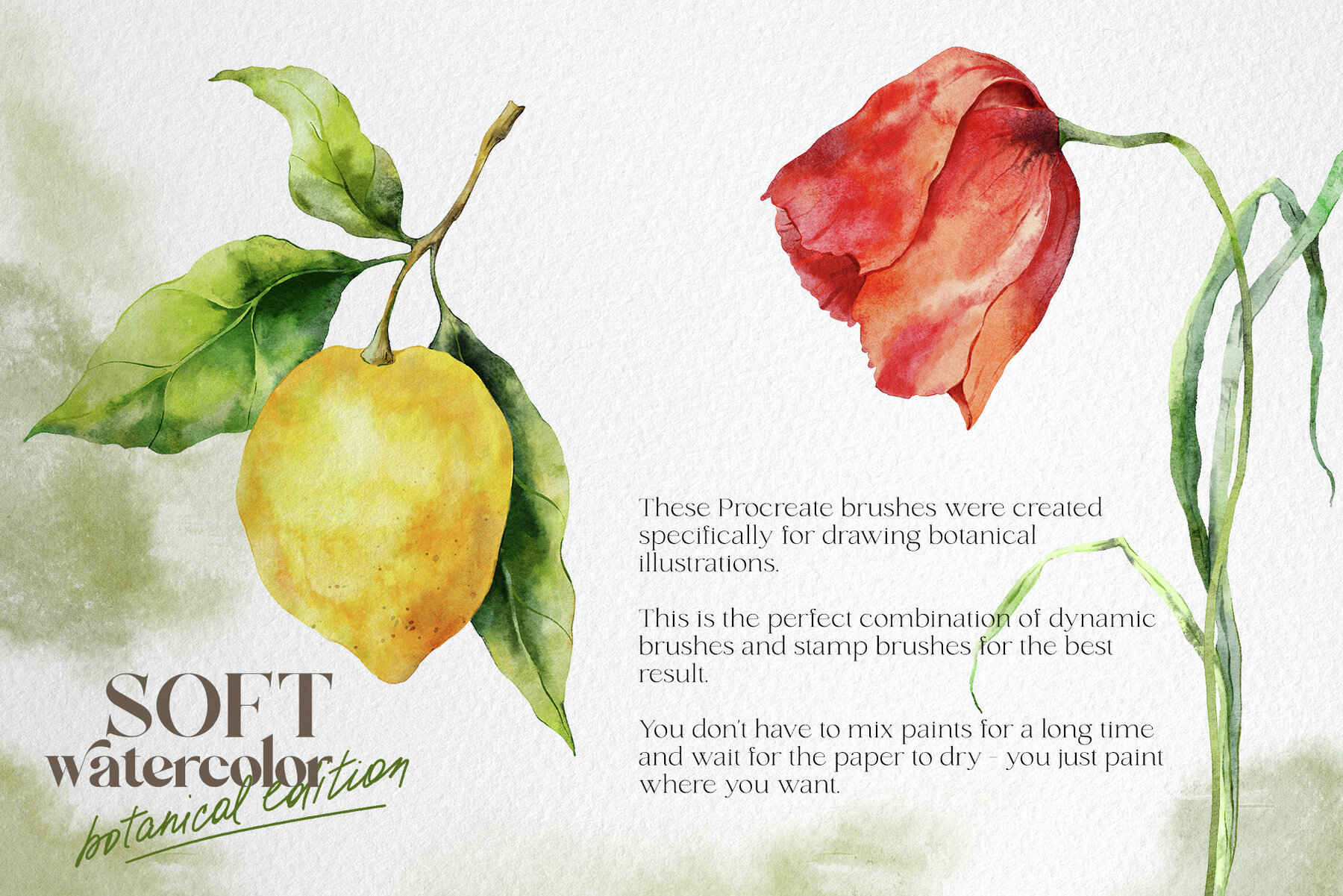 Soft watercolor Procreate brushes Botanical edition 4