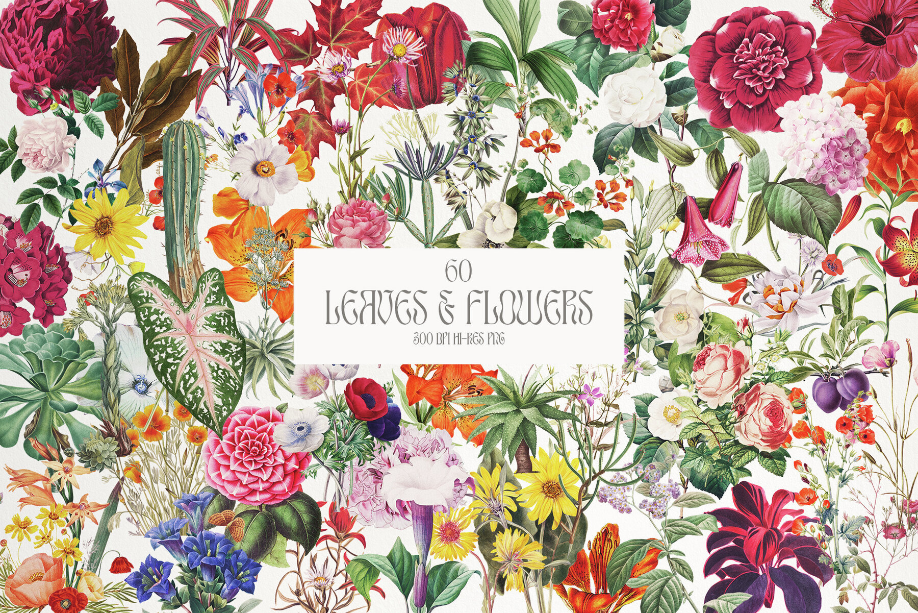 Collage Creator and Posters 3