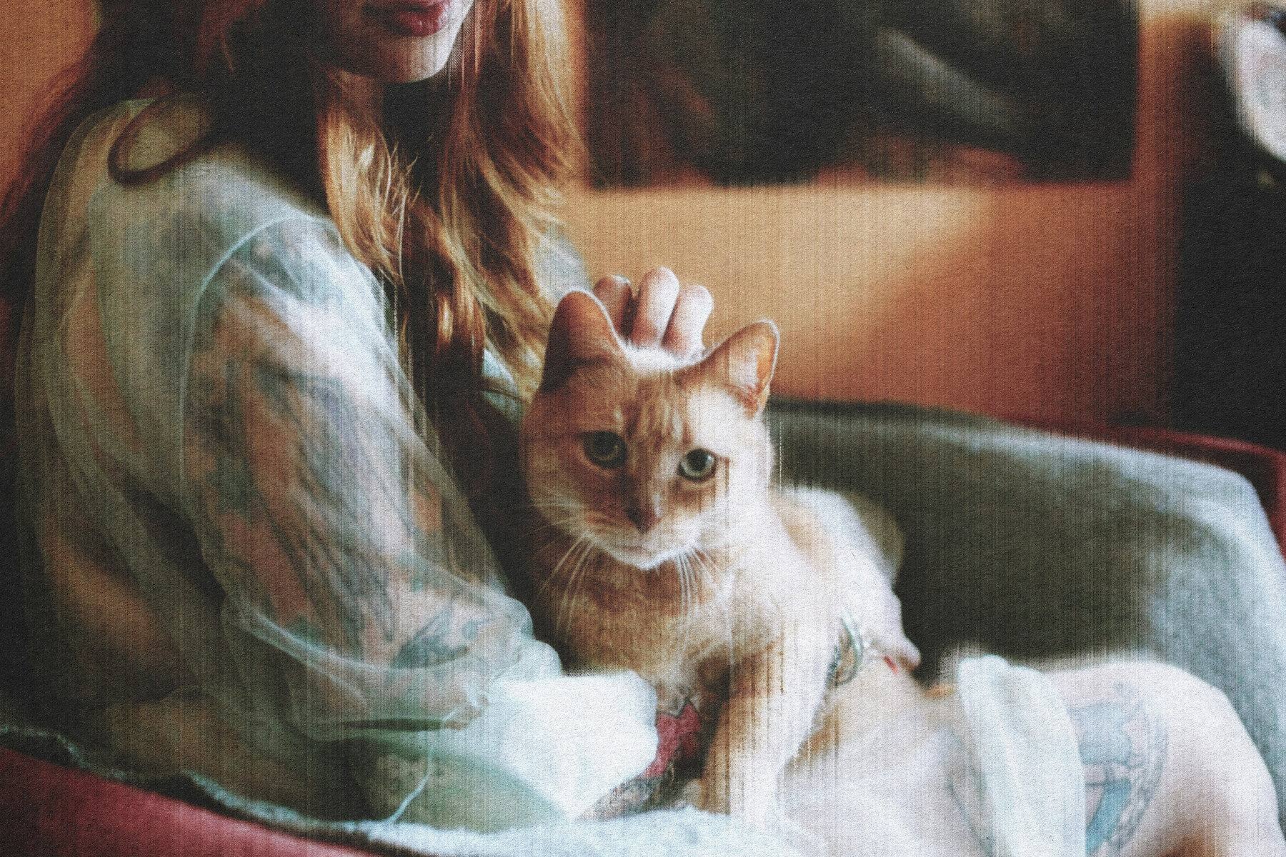 Displaced Print Photo Effect 3