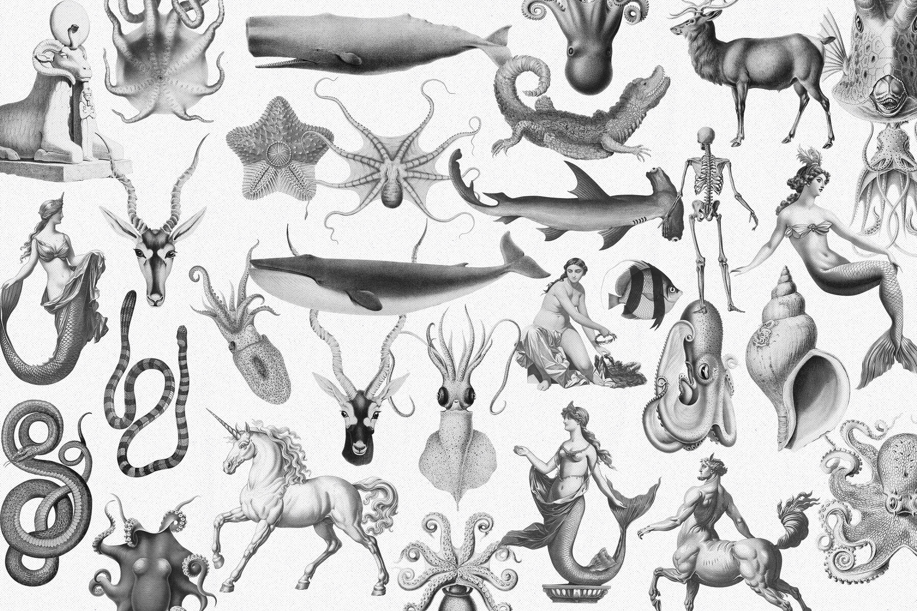 Fantastique Vector Archives 14