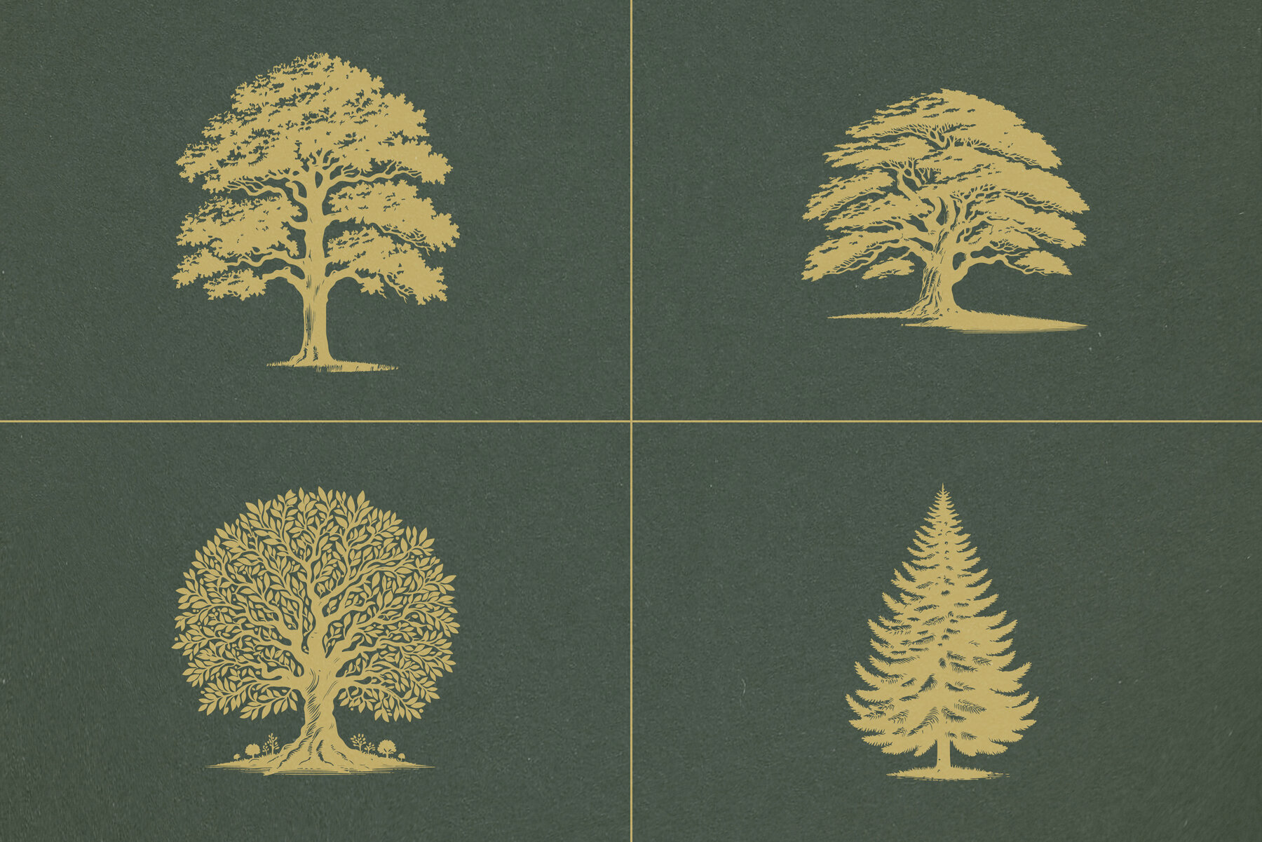 16 Vintage Vector Trees Collection 3