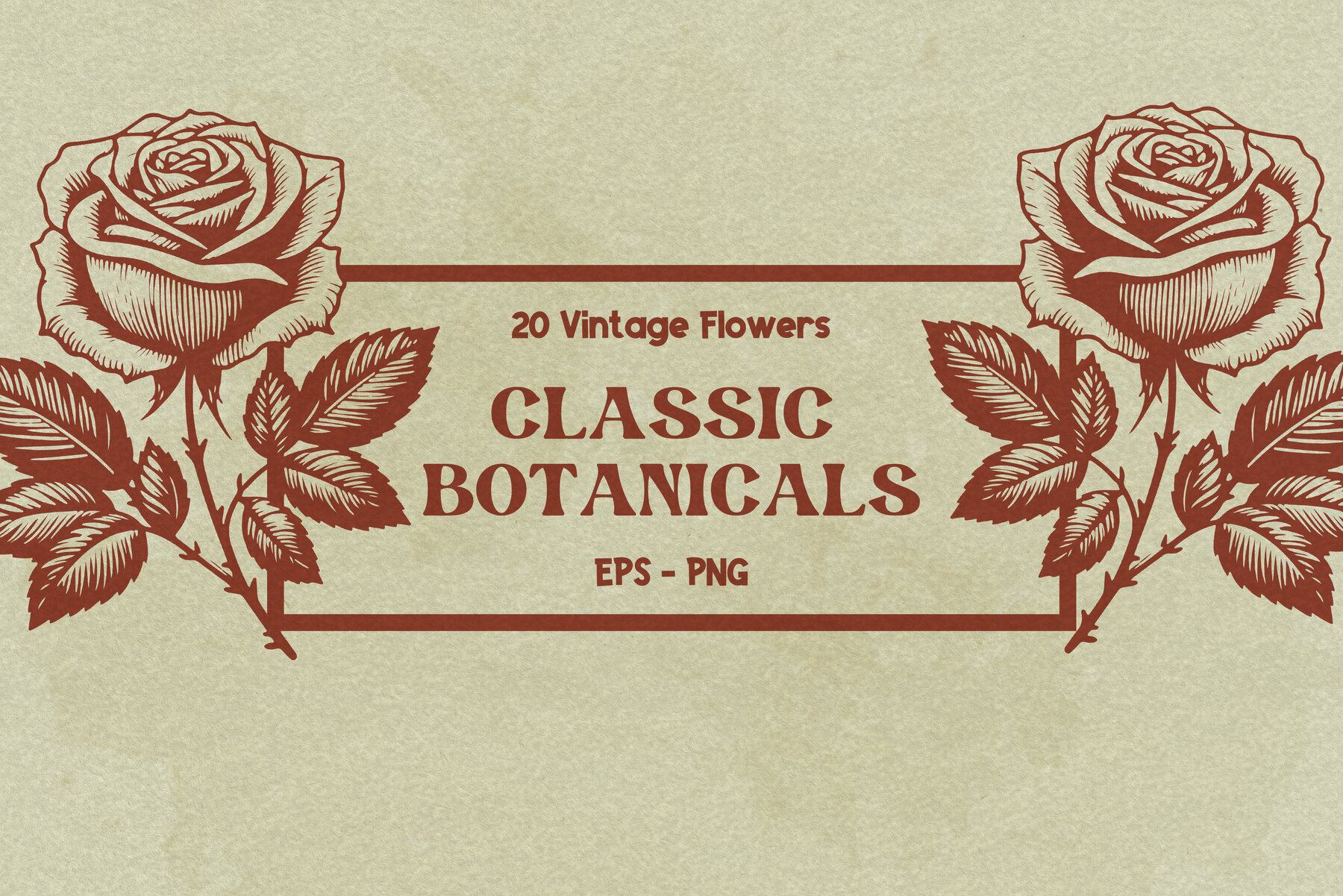 Classic Botanicals   20 Vectors 1