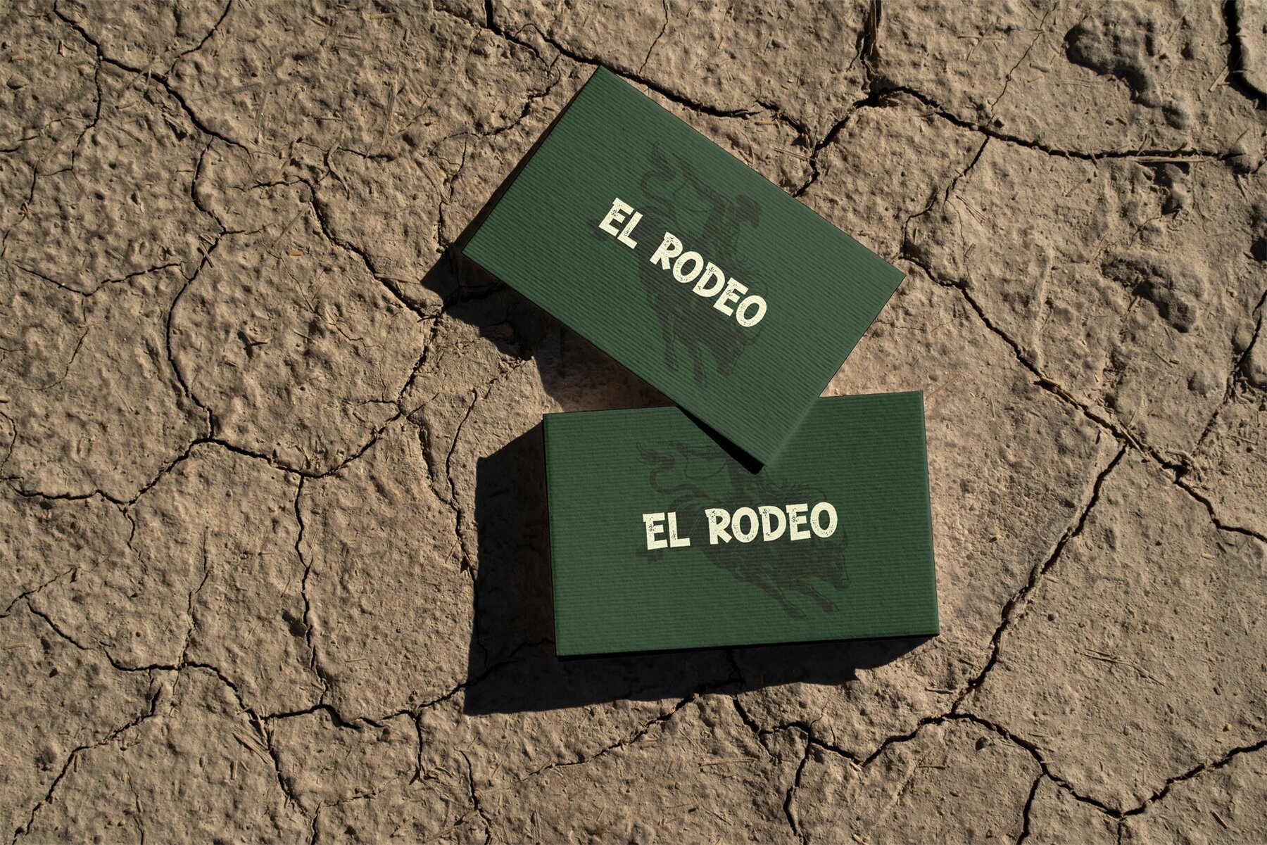 Rodeo Illustrations   Western Themed 6