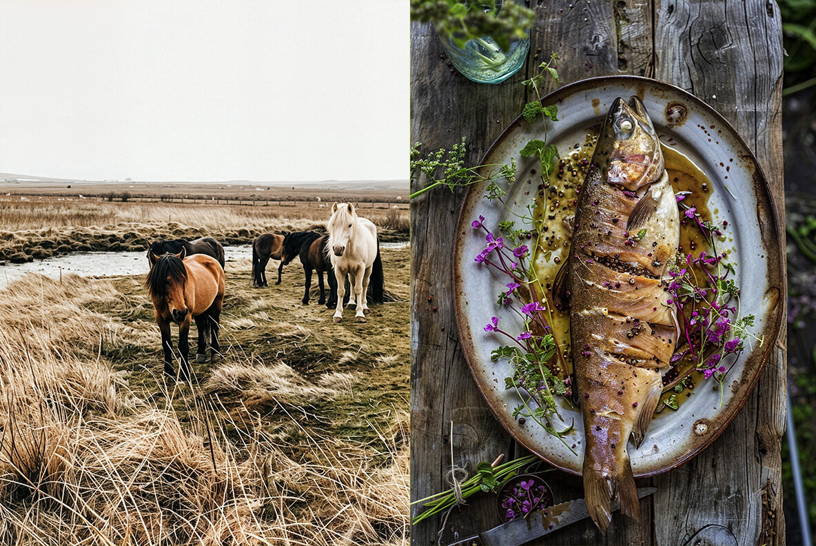 Scandinavian Lifestyle 3