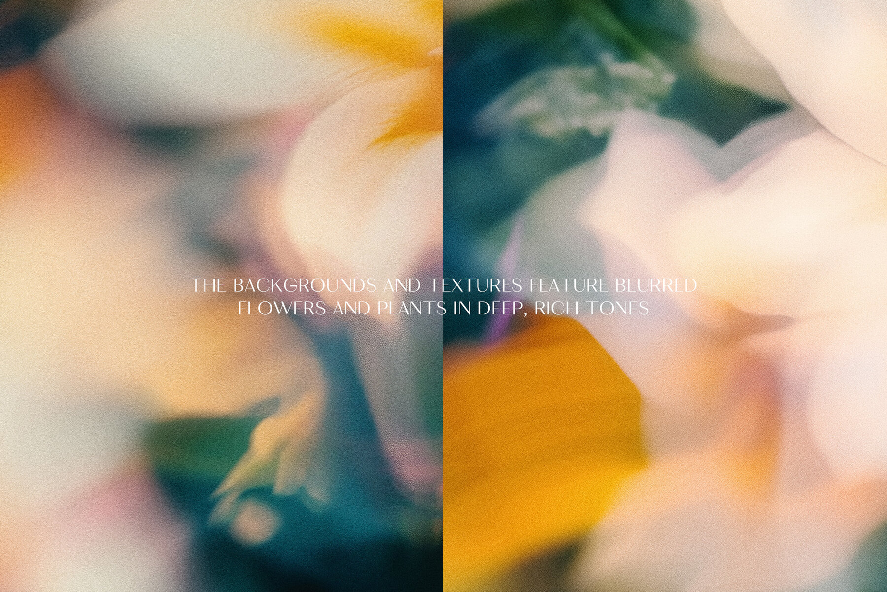 Light Flora Collection 4