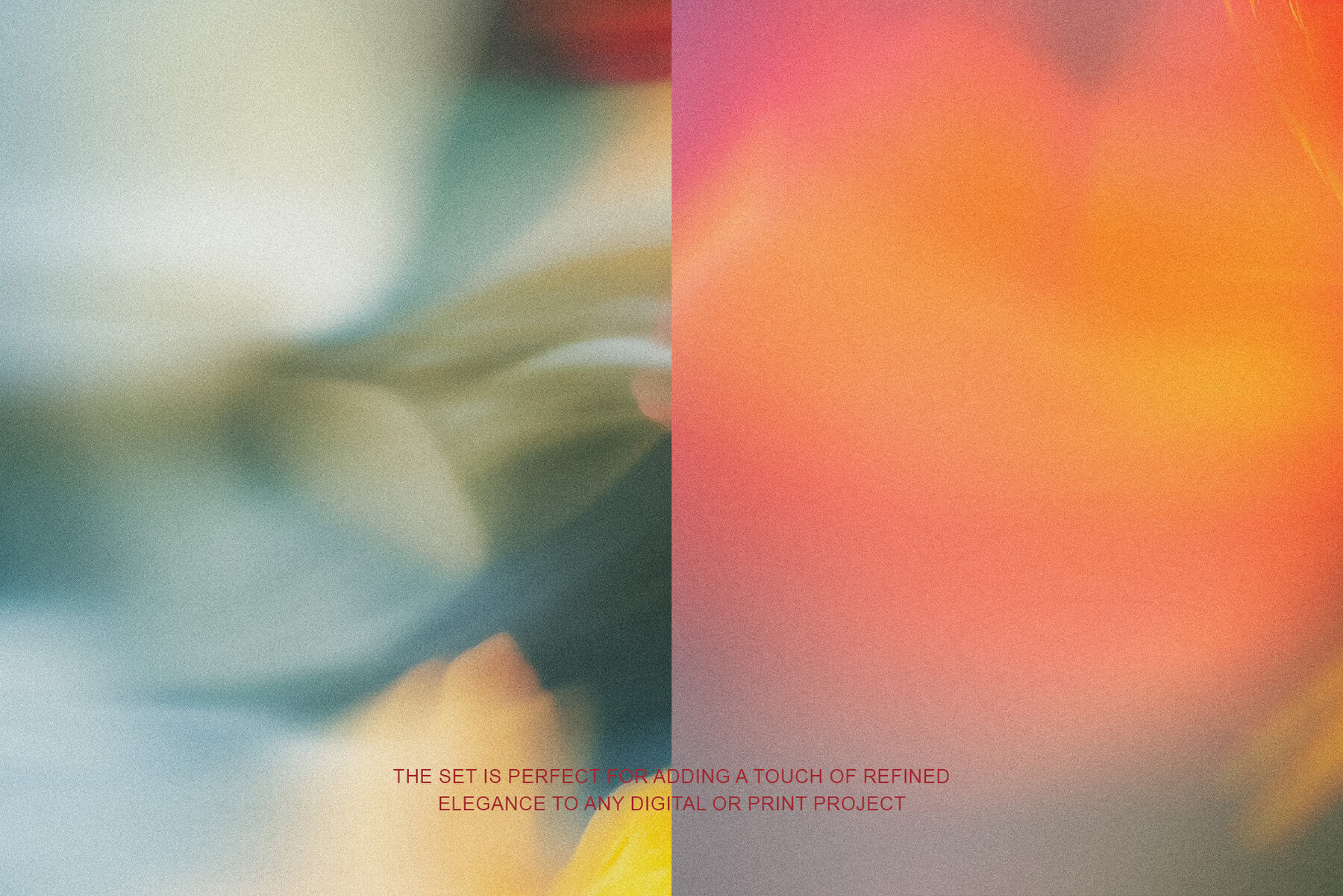 Light Flora Collection 6