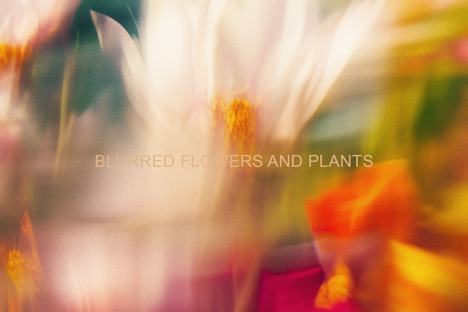 Light Flora Collection 7