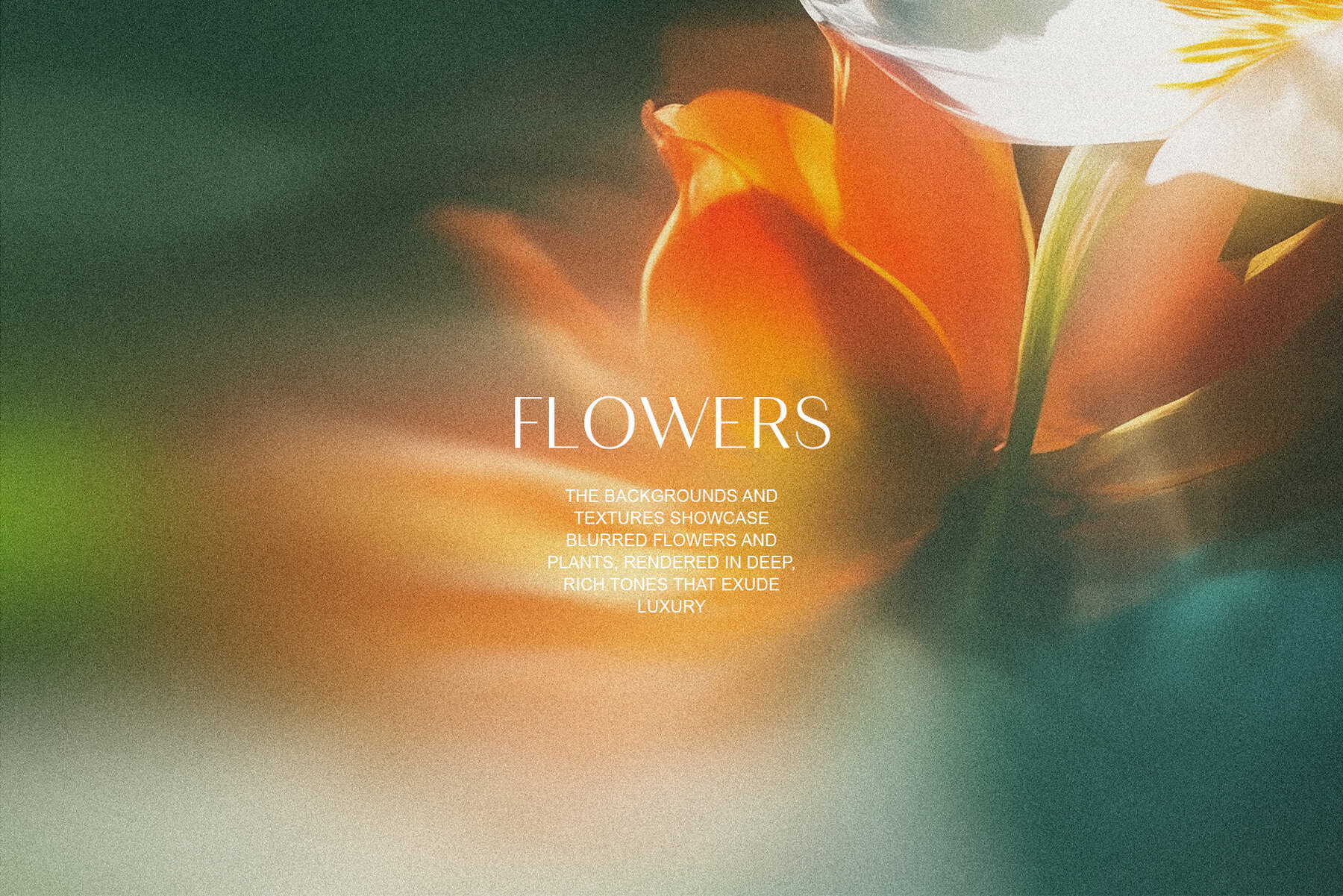 Light Flora Collection 9