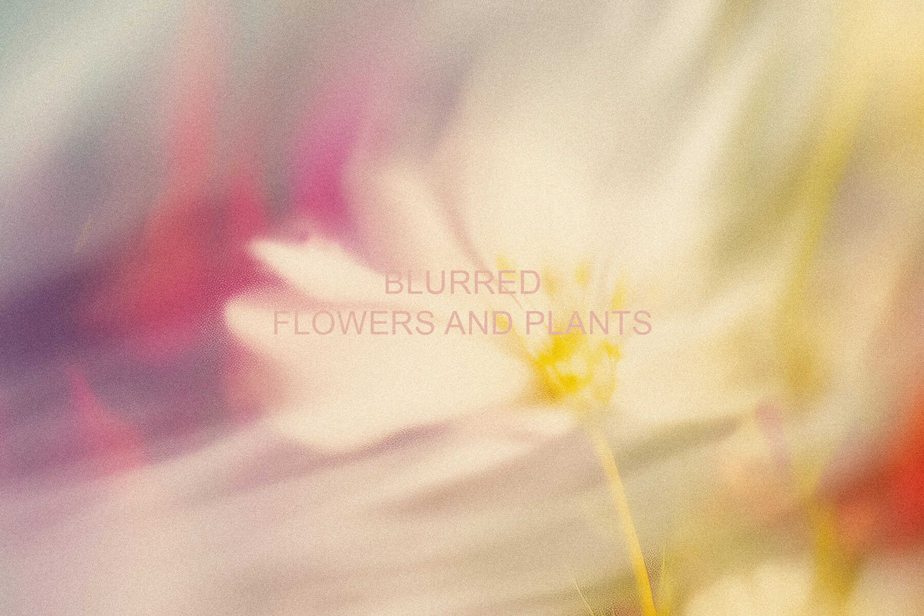 Light Flora Collection 12