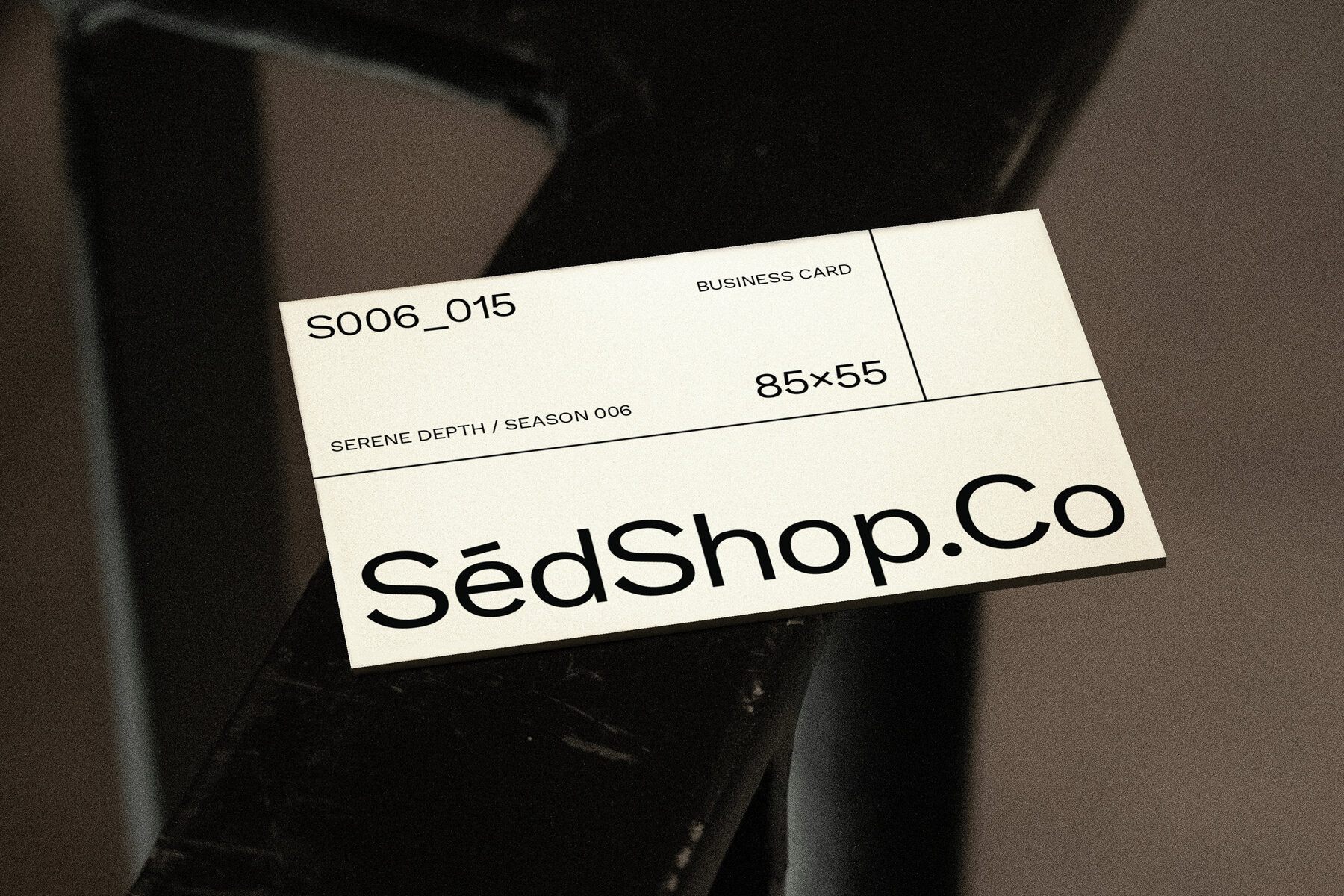 Business Card Mockup S006 015 4