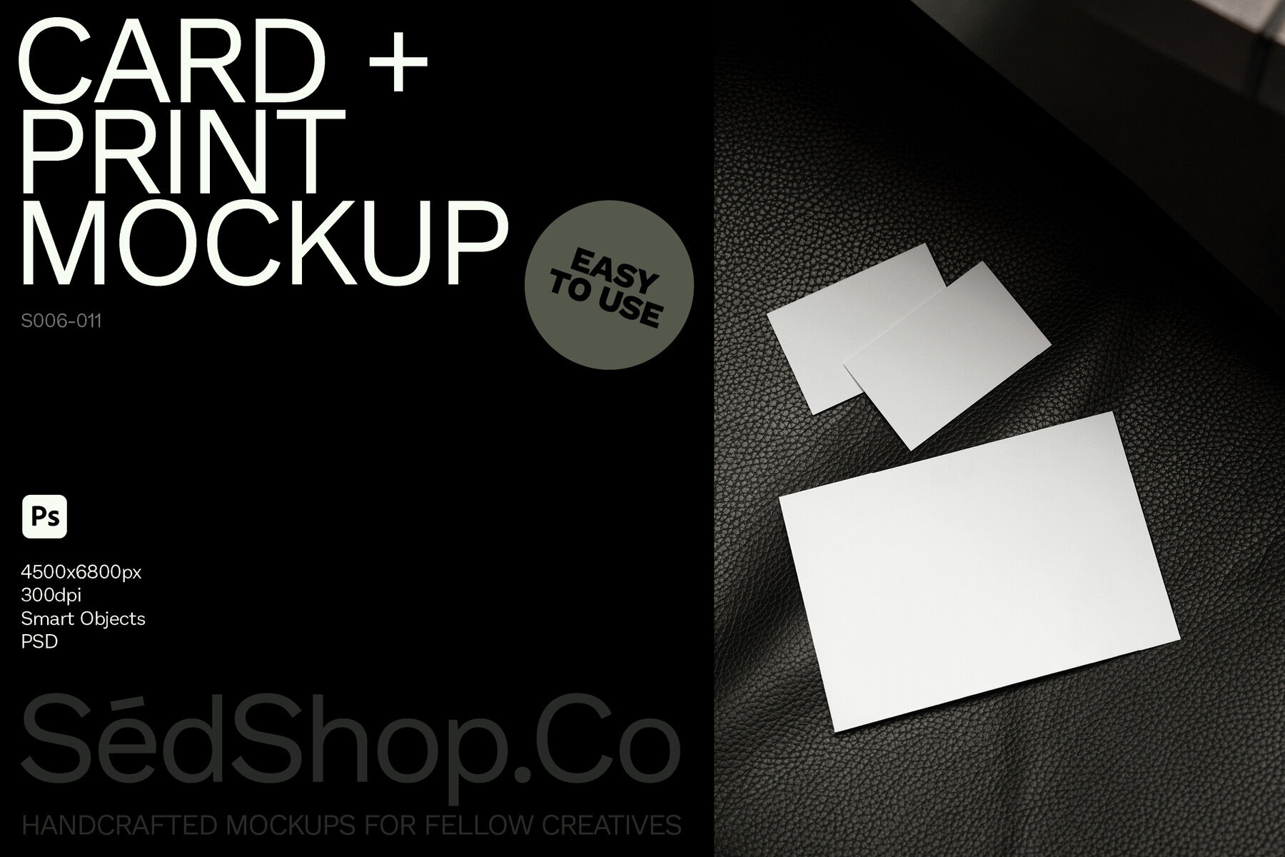 Business Card and Print Mockup S006 011 2