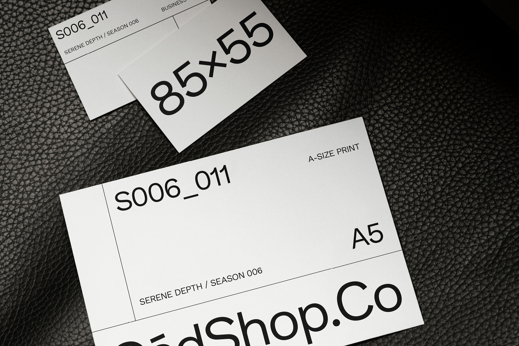 Business Card and Print Mockup S006 011 3
