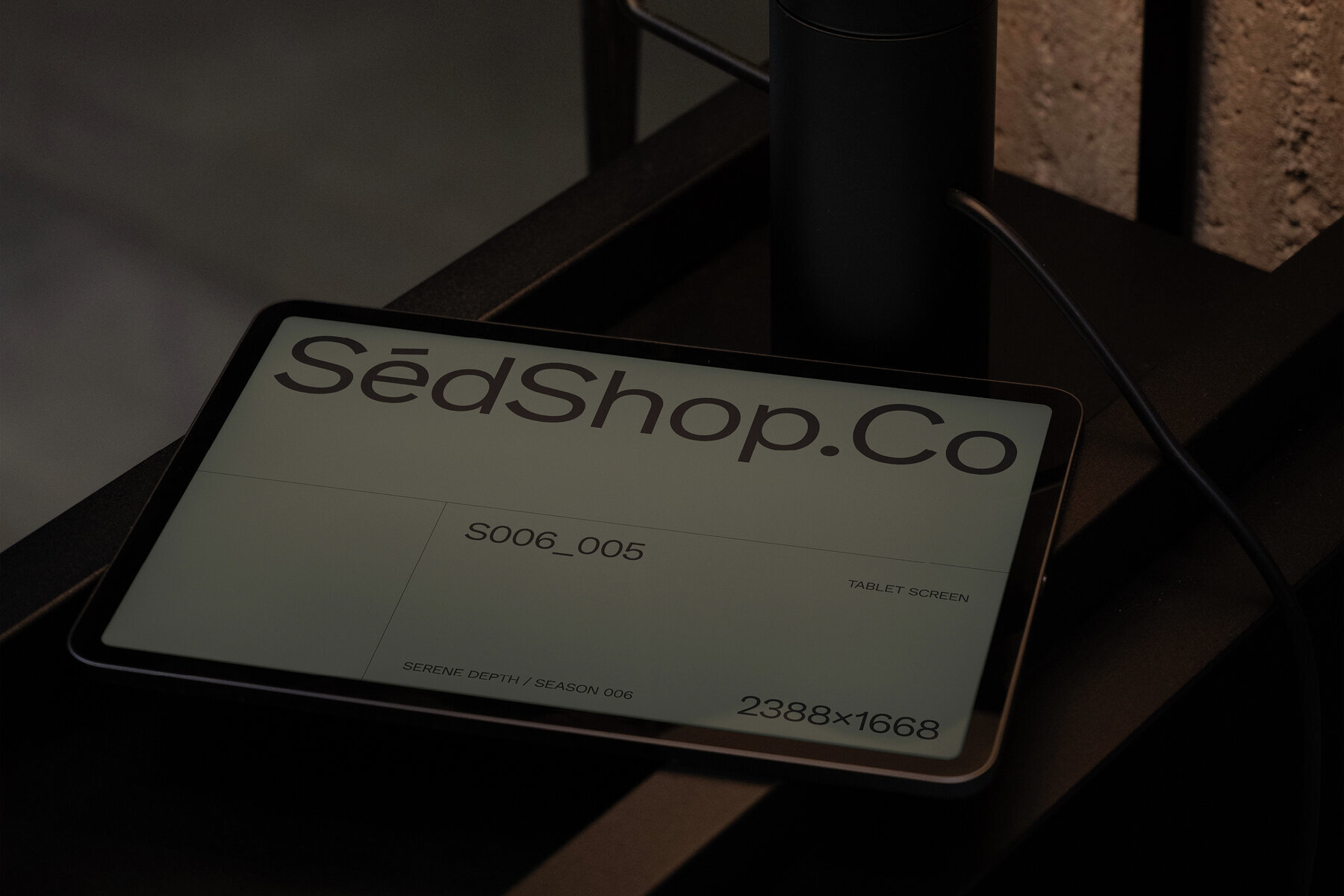 iPad Pro Mockup S006 005 3