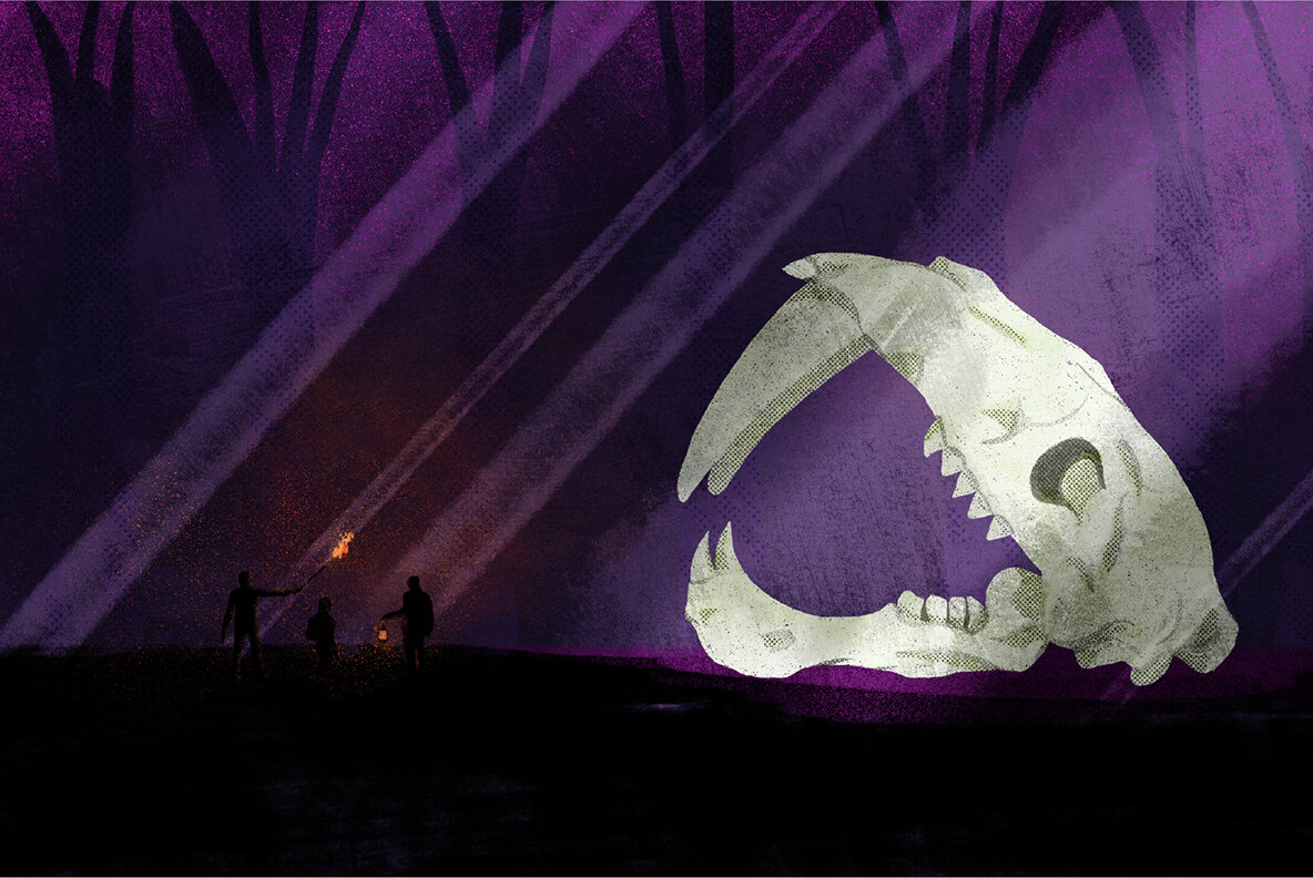 Storybook Chapter 3 Photoshop Brushes 5