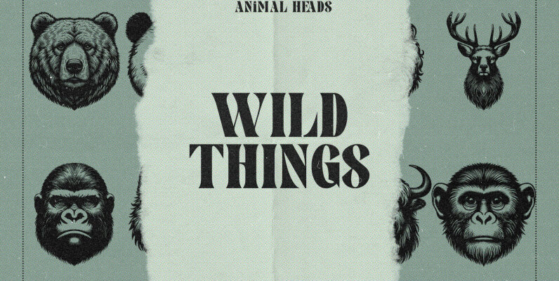 Wild Things   Animal Heads