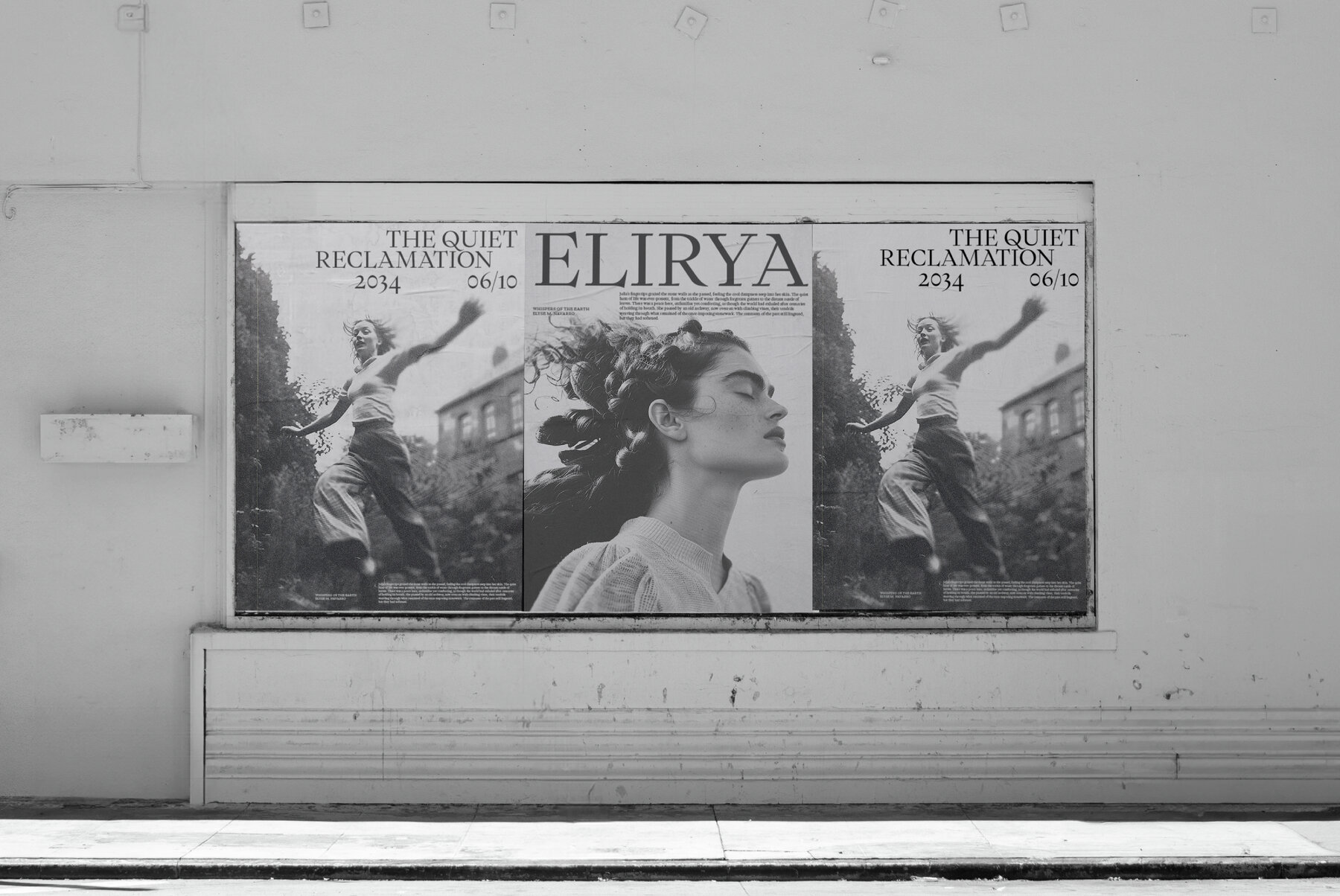 The quiet reclamation 7