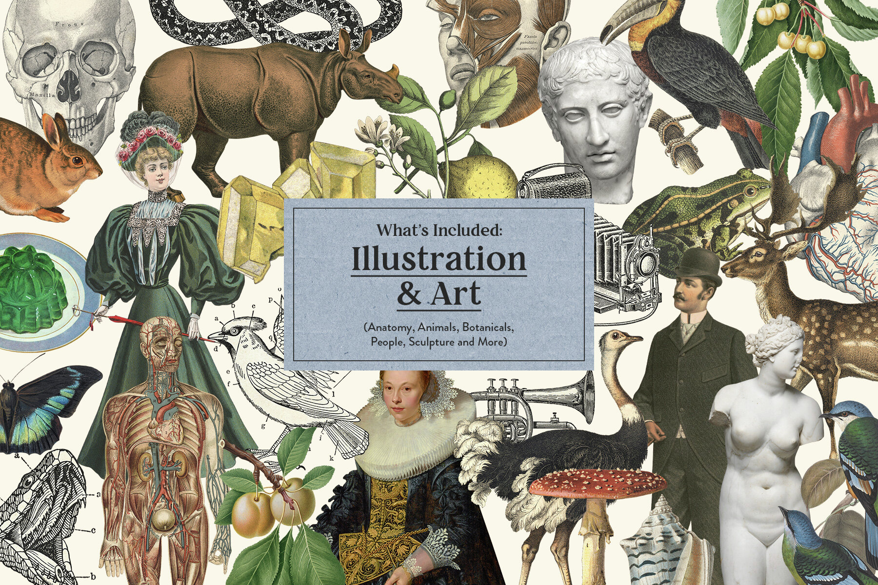 Vintage Collage Creator 5