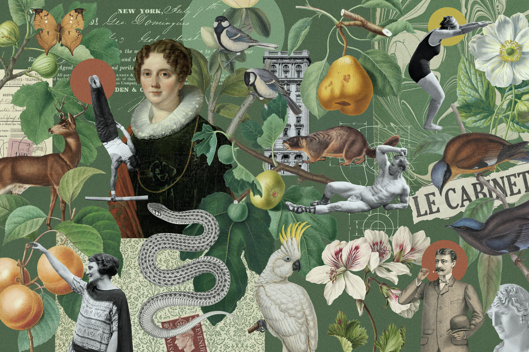 Vintage Collage Creator Vol  2 2