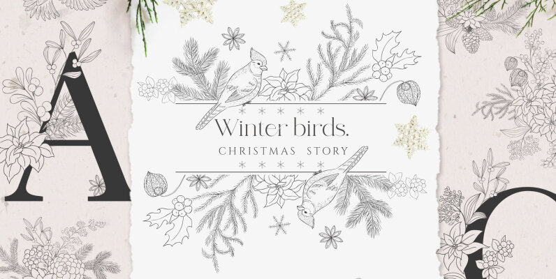 Winter Birds Christmas Story