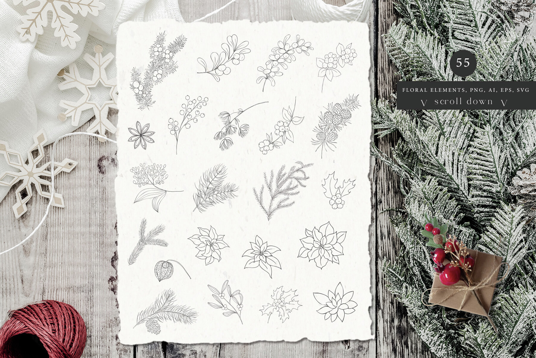 Winter Birds Christmas Story 5