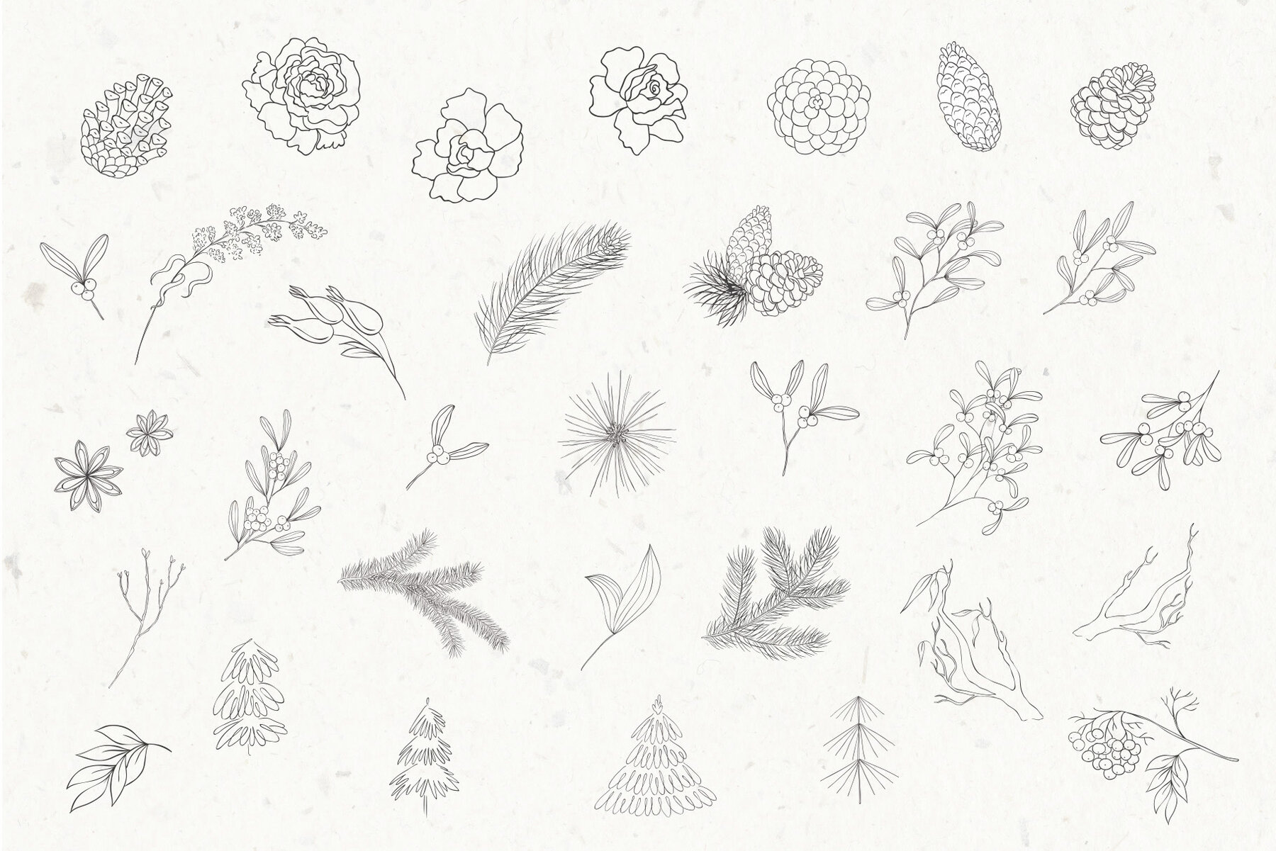 Winter Birds Christmas Story 6