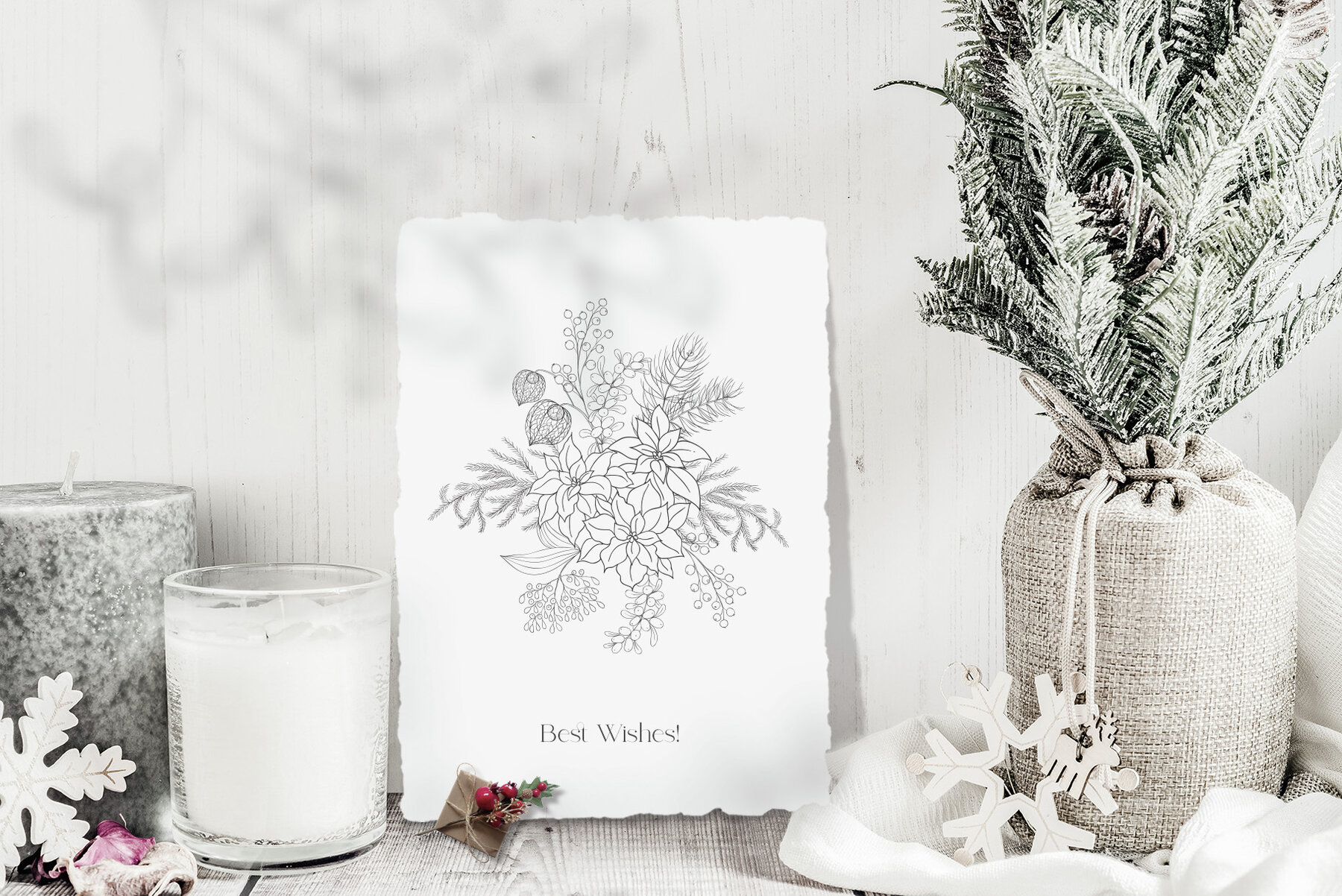 Winter Birds Christmas Story 9