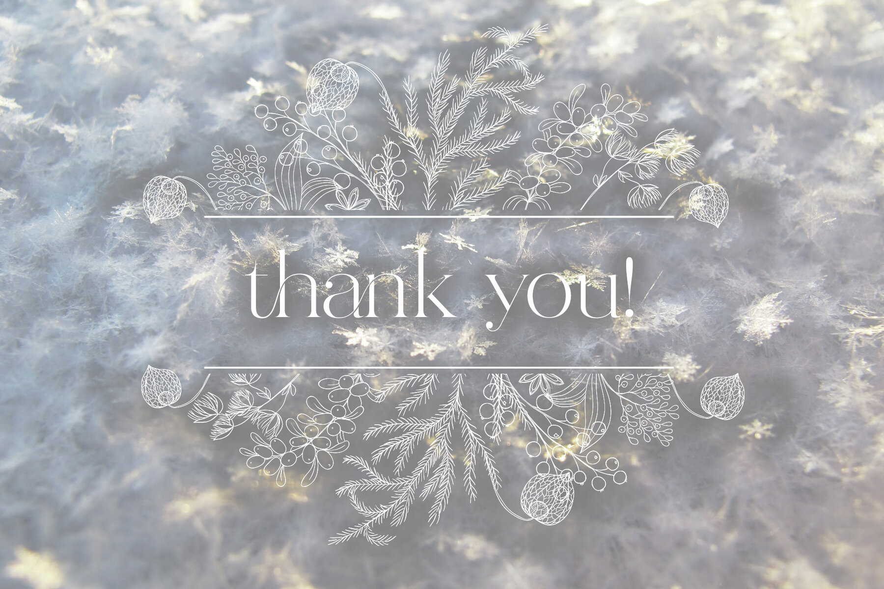 Winter Birds Christmas Story 13