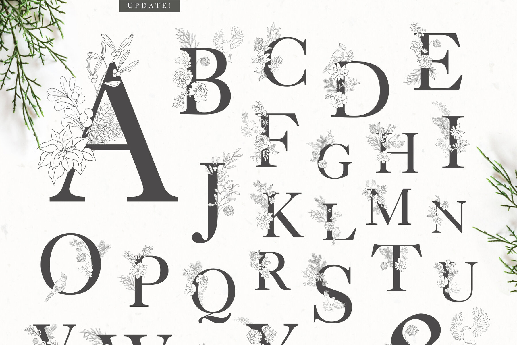 Winter Birds Christmas Story 15