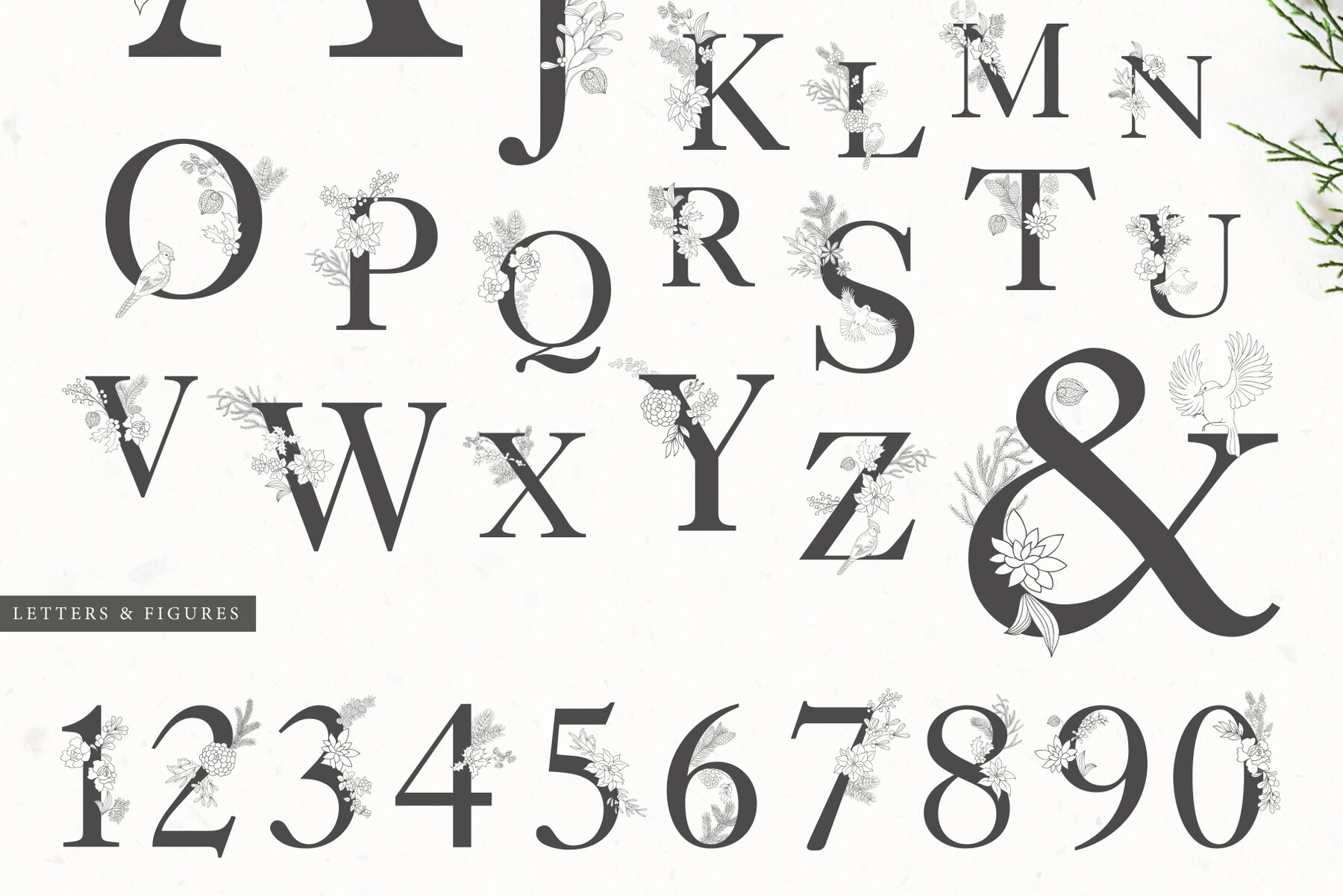 Winter Birds Christmas Story 16