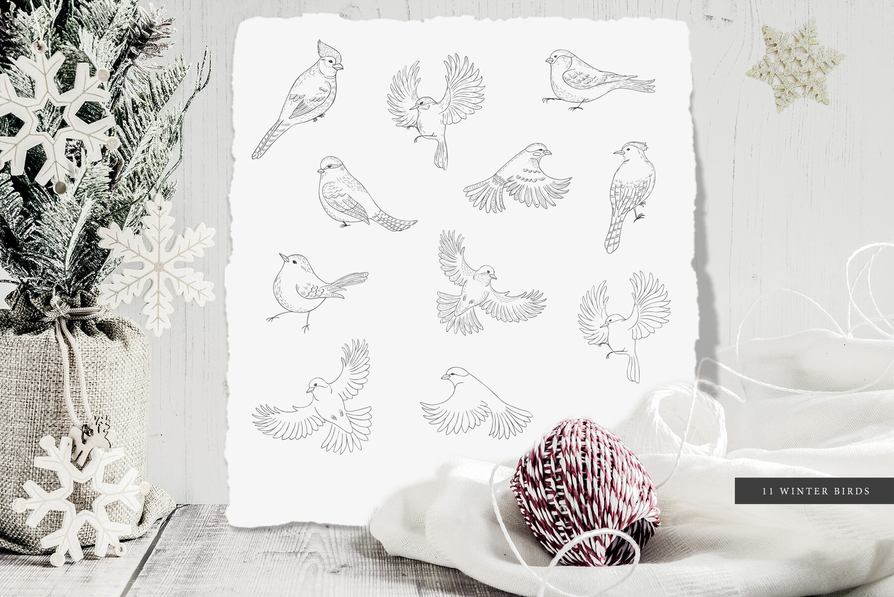 Winter Birds Christmas Story 23