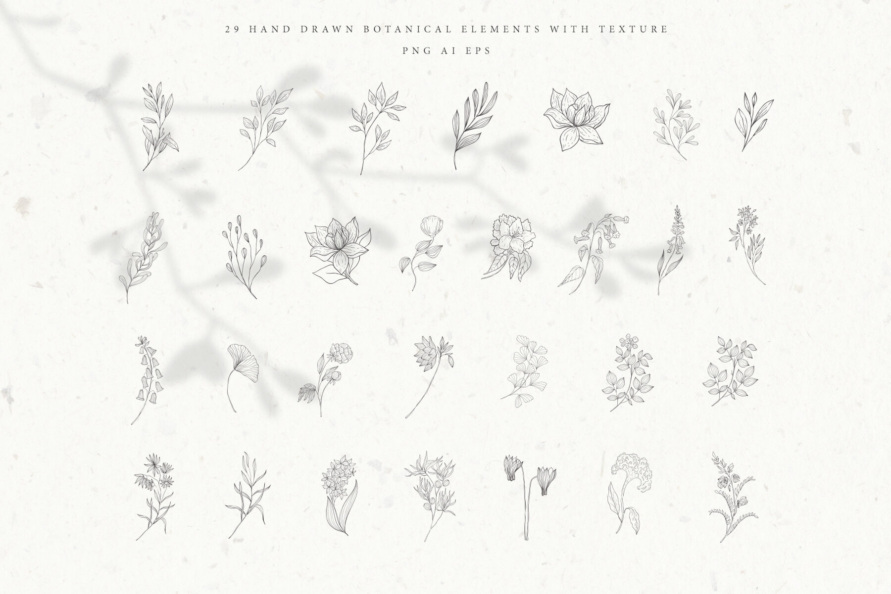Botanical Alphabet and Monograms 6
