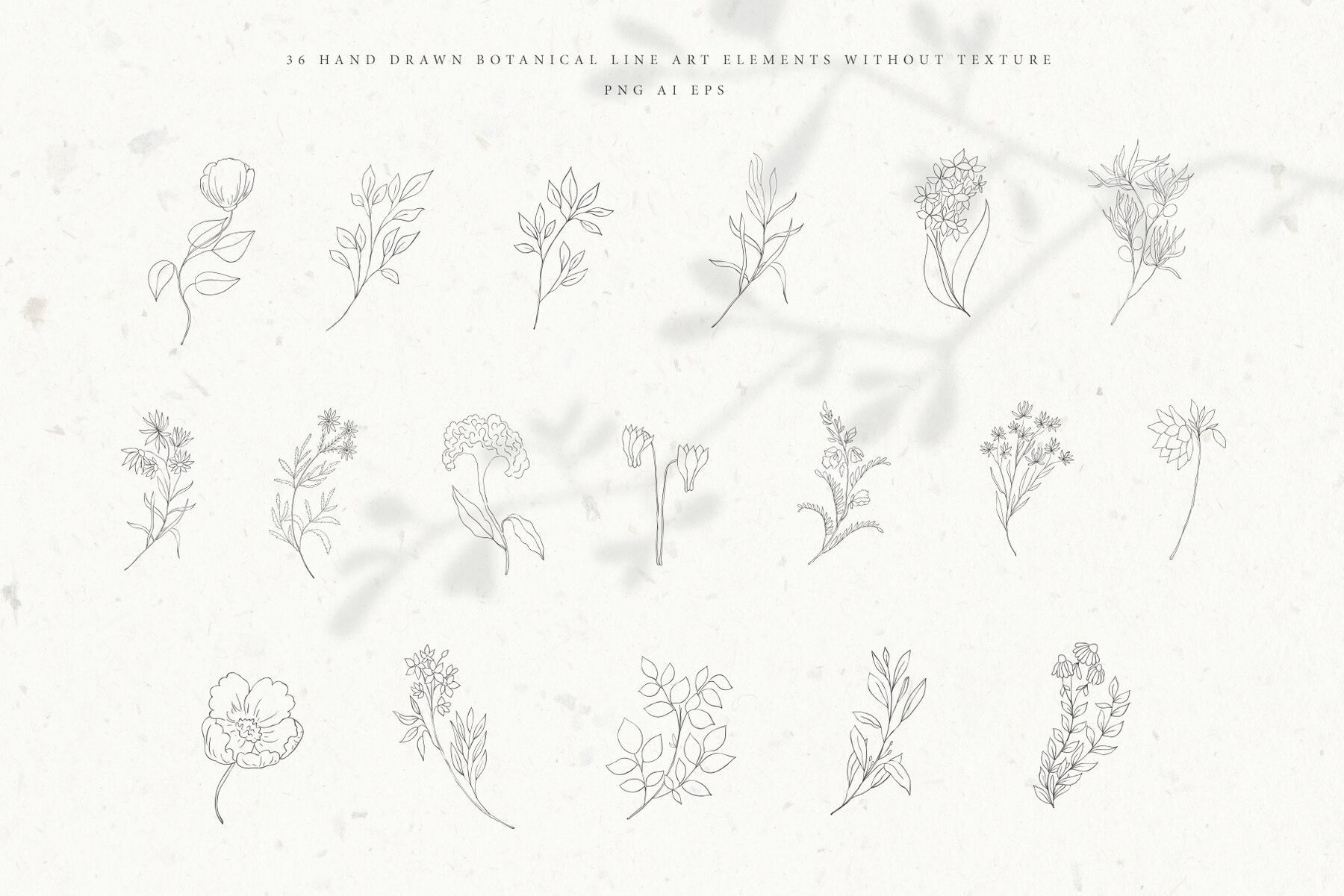 Botanical Alphabet and Monograms 7