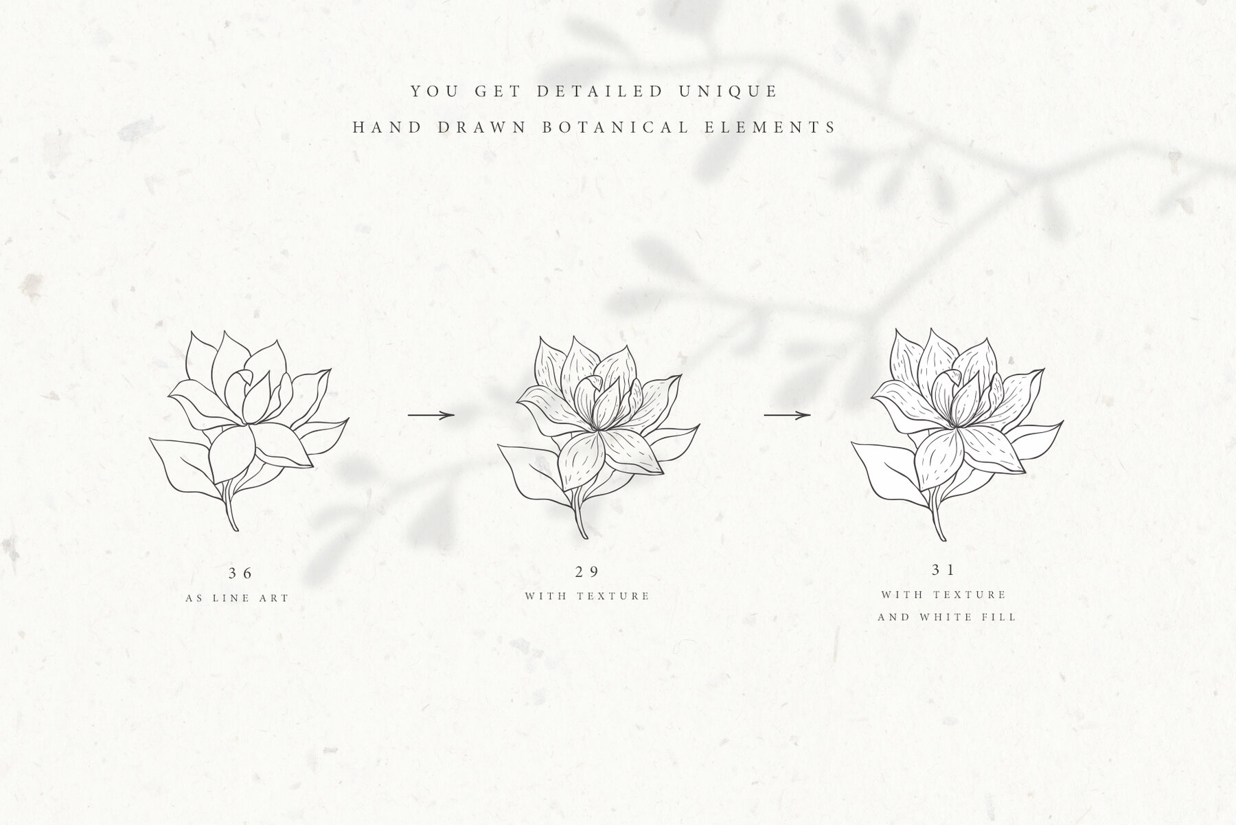 Botanical Alphabet and Monograms 8