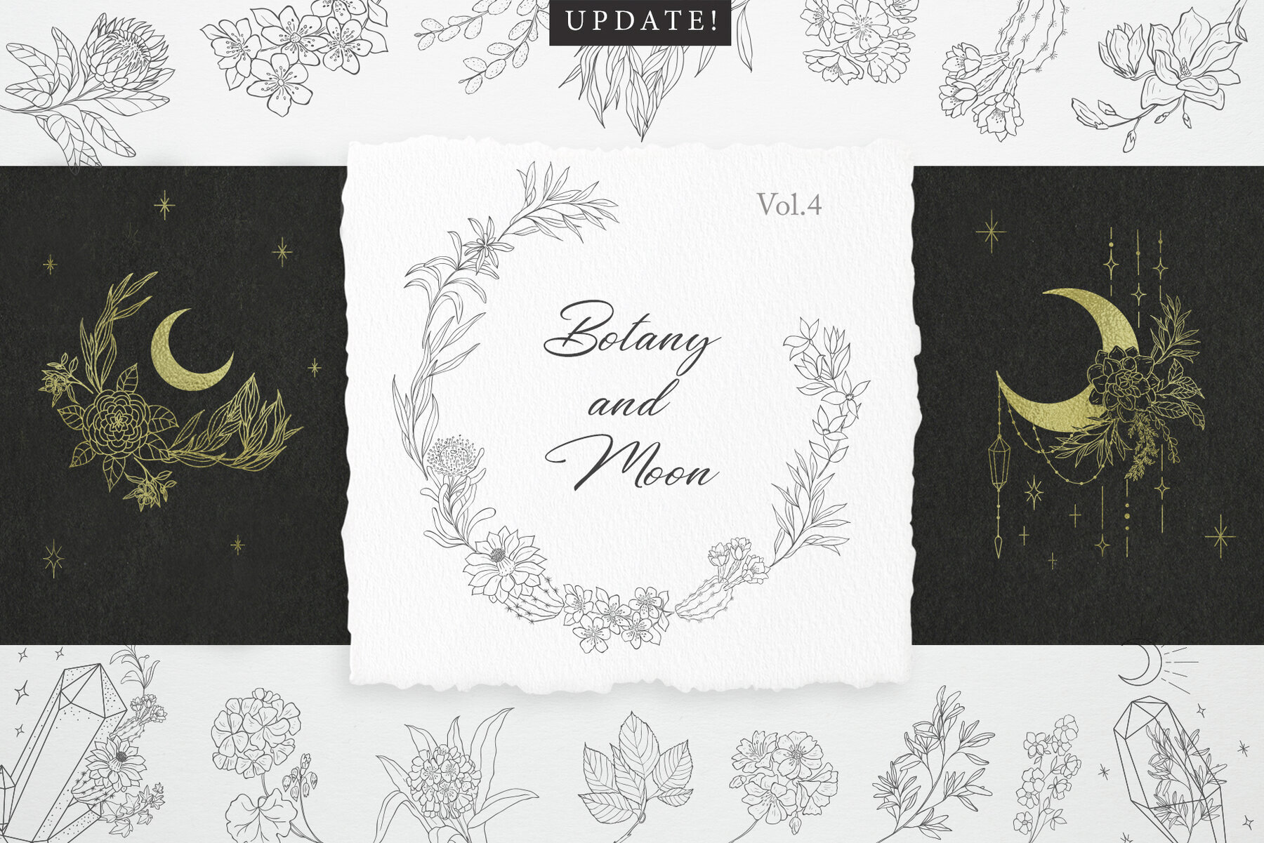 Botany and Moon Hand Drawn Line Art 1